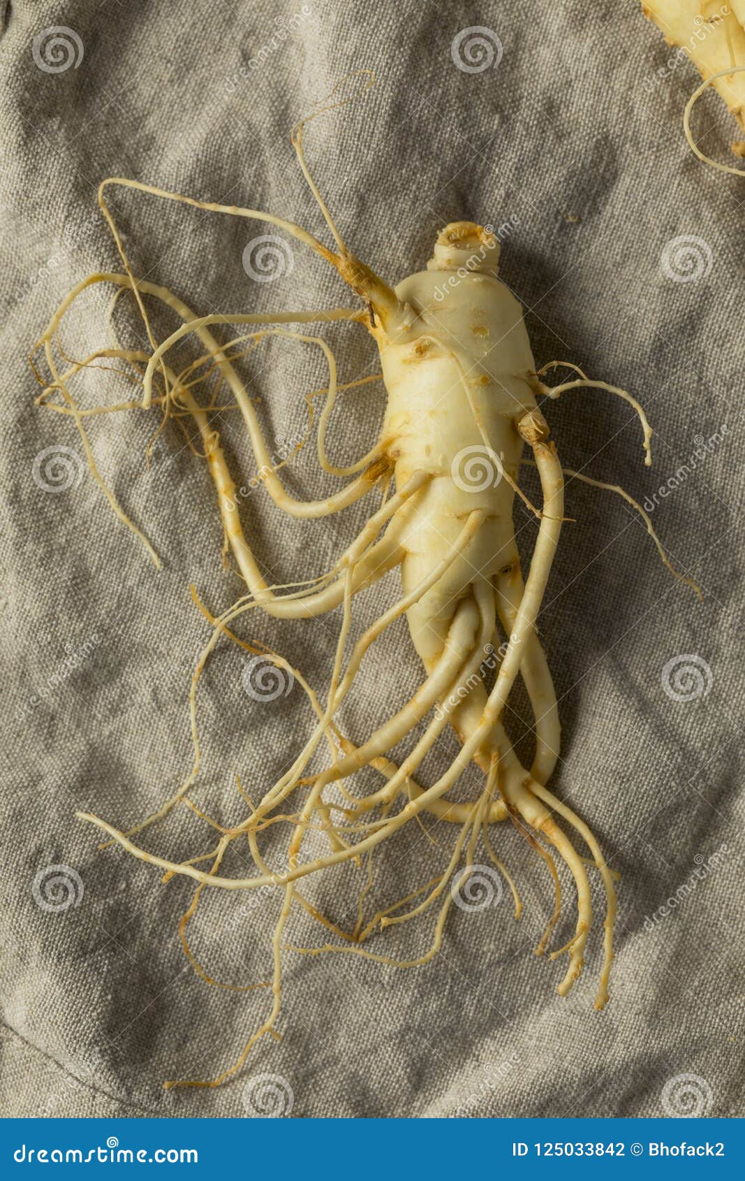 Raw Organic Healthy Ginseng Root Stock Photo Image of cooking, asia