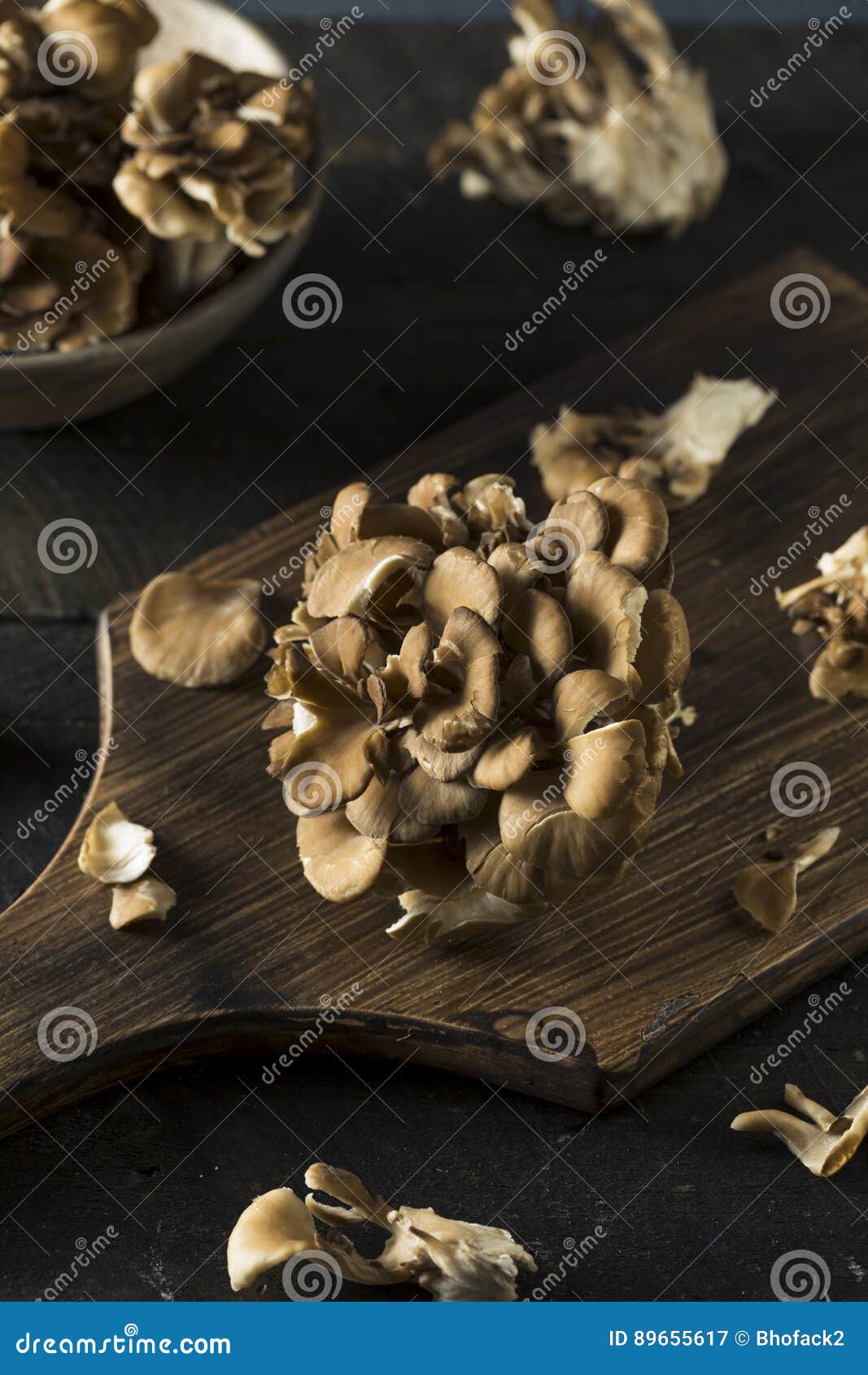 Raw Organic Maitake Mushrooms Stock Image Image of cooking, eryngii