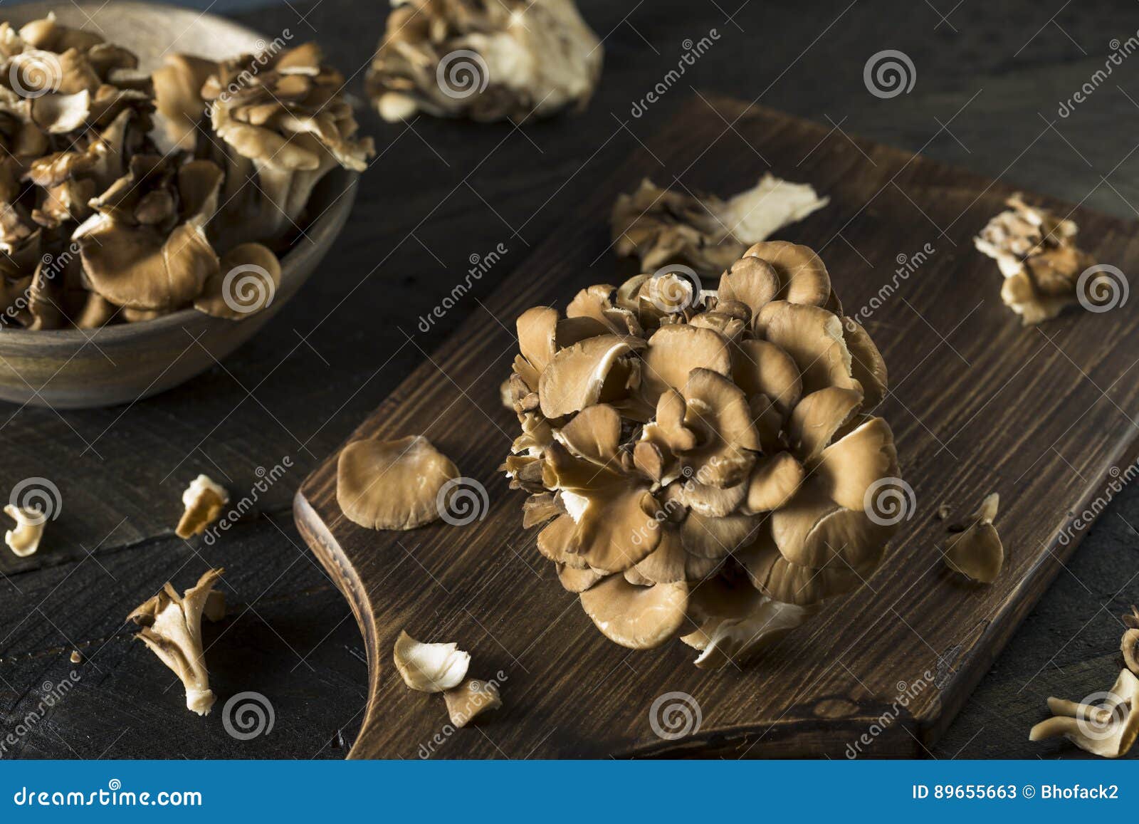 Raw Organic Maitake Mushrooms Stock Image Image of head, natural