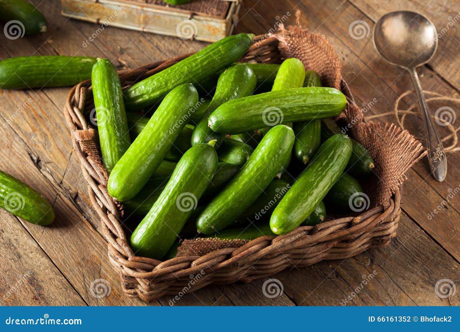 raw organic mini baby cucumbers