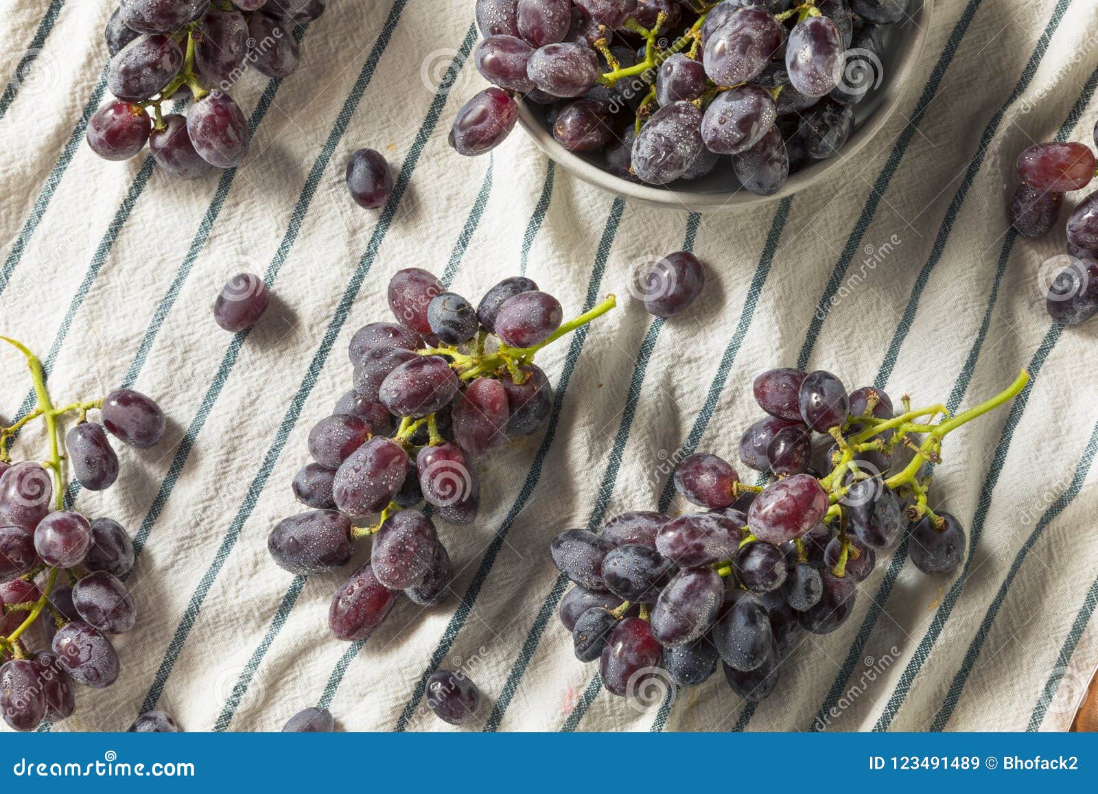 Raw Organic Purple Grapes stock image. Image of nature - 123491489