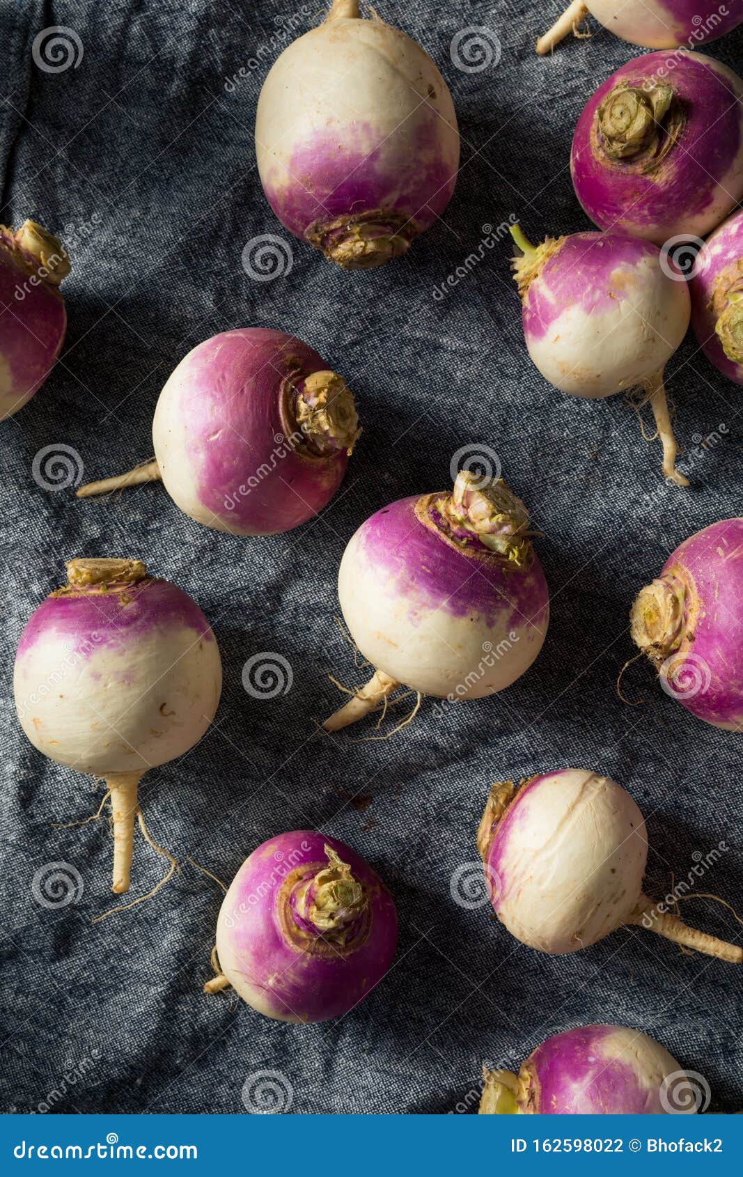 Raw Organic Purple Turnips stock photo. Image of cooking 162598022