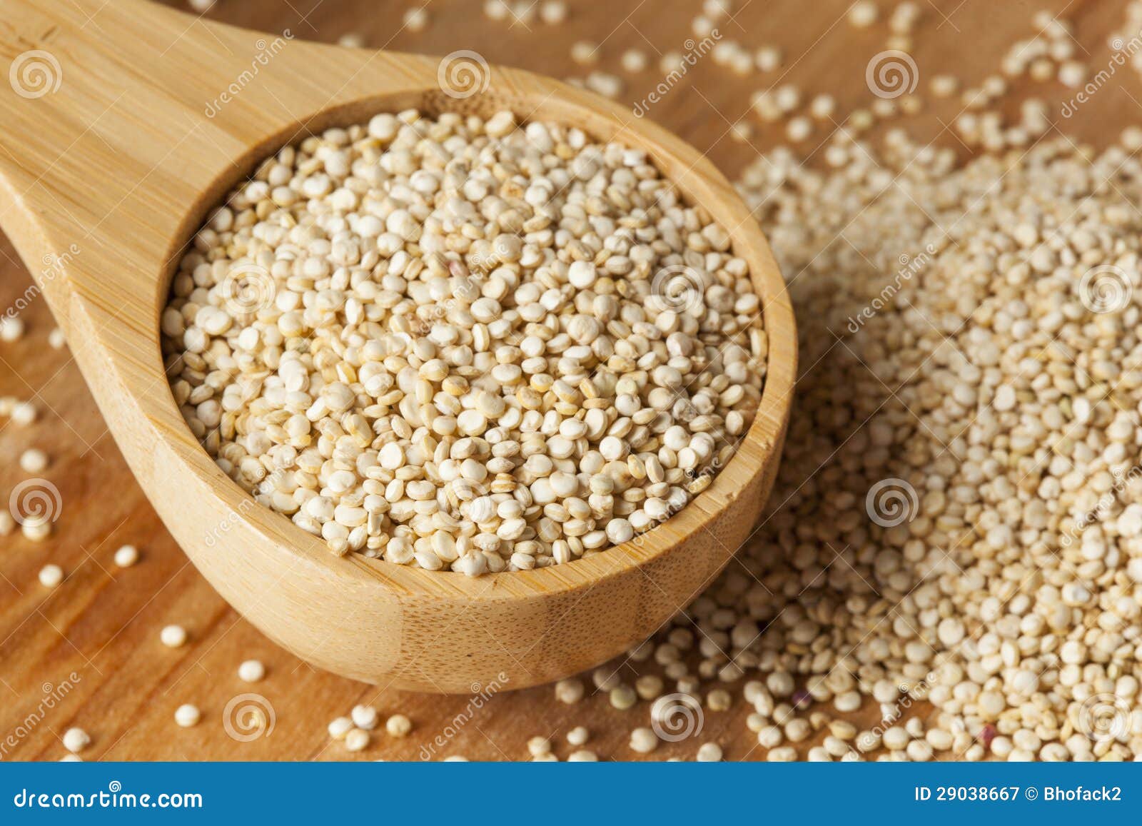 Raw Organic Quinoa Seeds stock image. Image of healthy 29038667