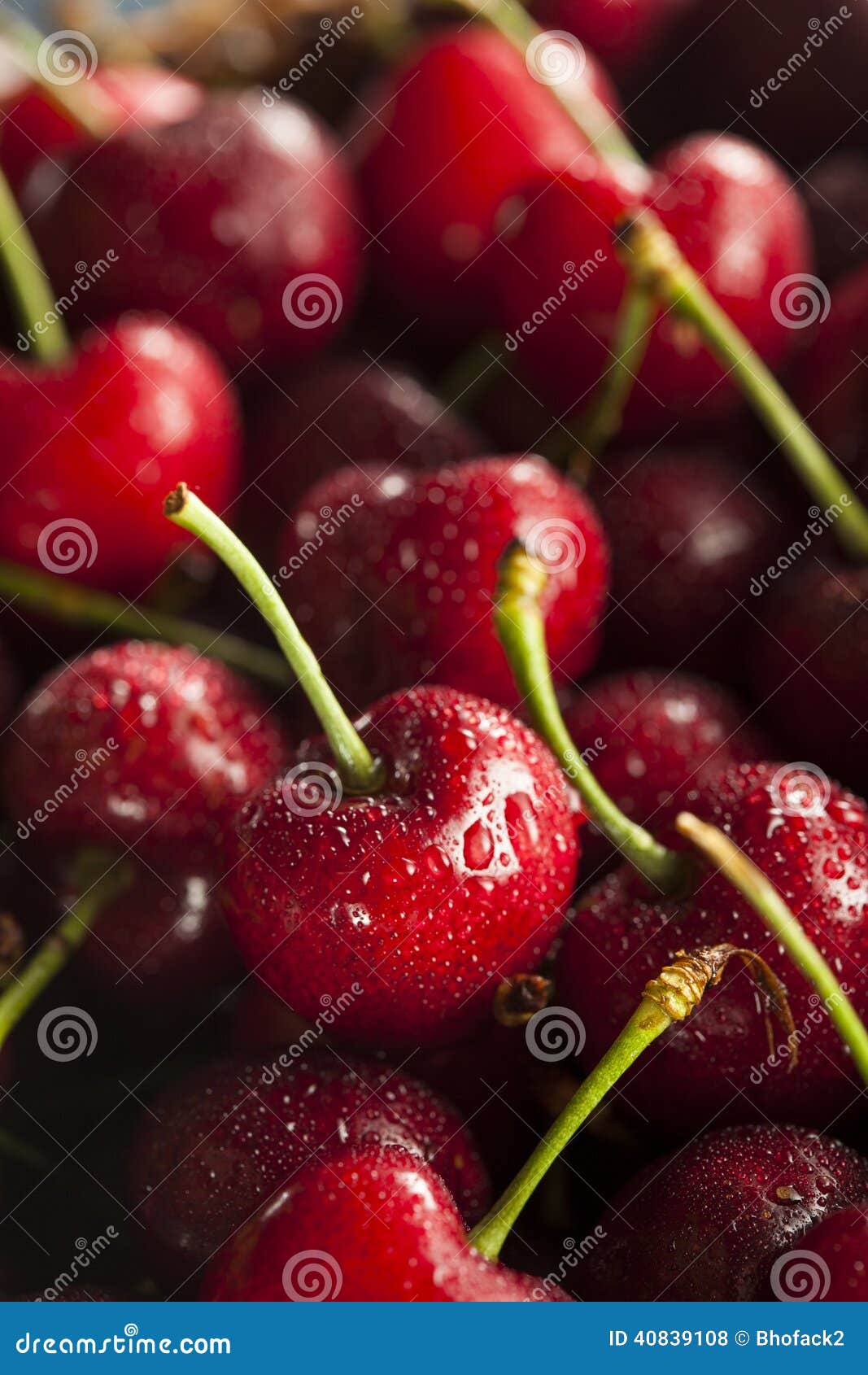 Raw Organic Red Cherries stock photo. Image of freshness 40839108