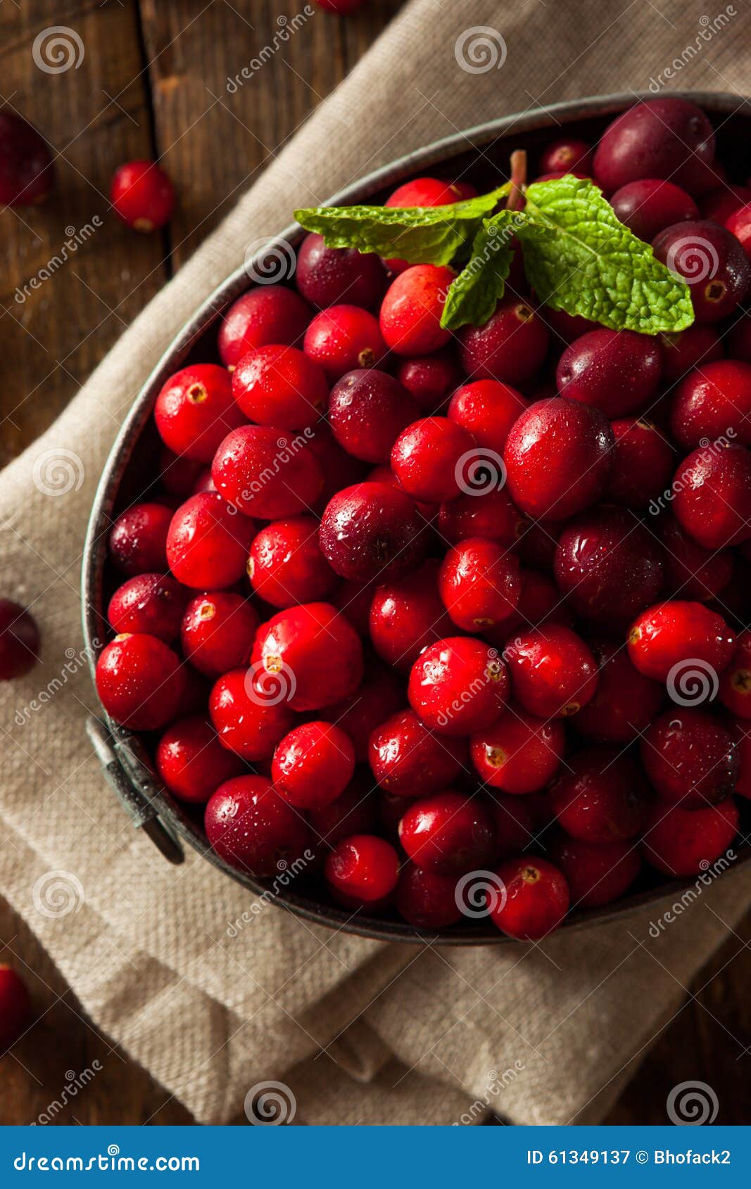 Raw Organic Red Cranberries Stock Image Image of heap, antioxidant 61349137