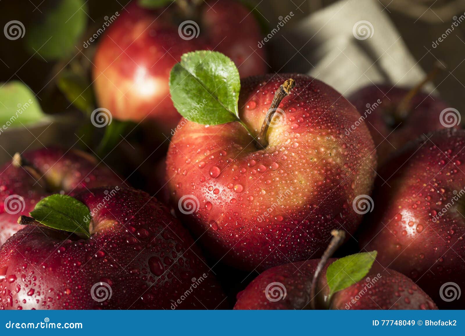 Raw Organic Red Delicious Apples Stock Image Image of healthy
