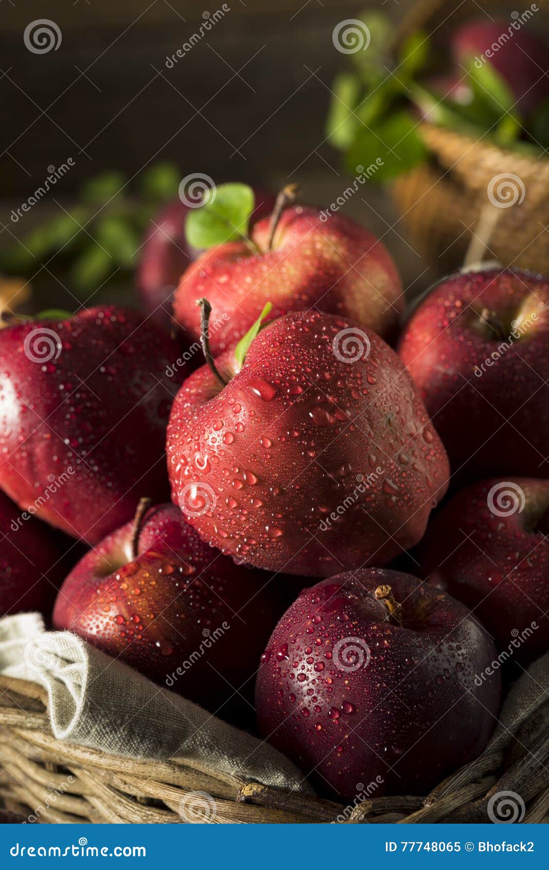 Raw Organic Red Delicious Apples Stock Image Image of perfect