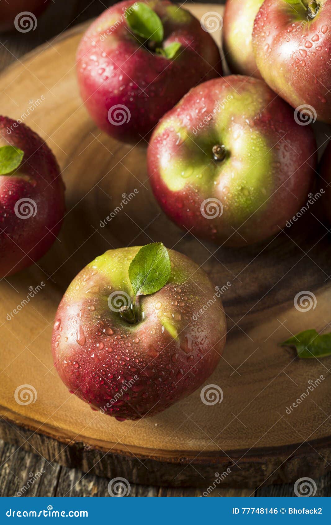 Raw Organic Red Mcintosh Apples Stock Photo Image of ingredient, diet