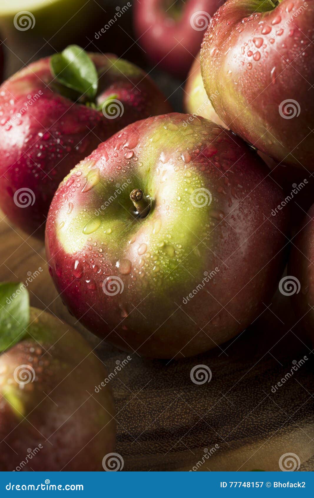 Raw Organic Red Mcintosh Apples Stock Image Image of freshness