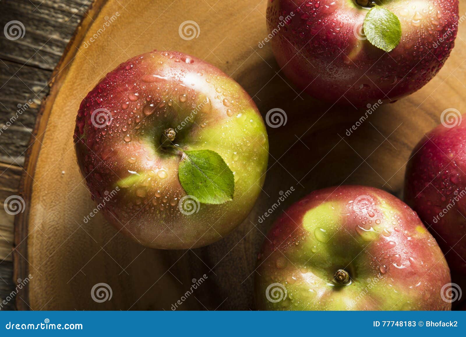 Raw Organic Red Mcintosh Apples Stock Image Image of orchard