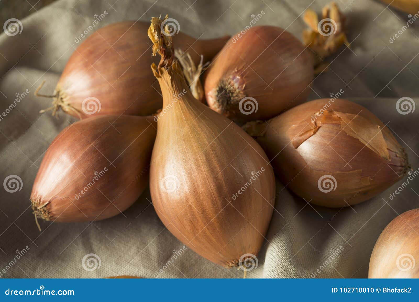 7,871 Bunch Shallot Royalty-Free Images, Stock Photos & Pictures