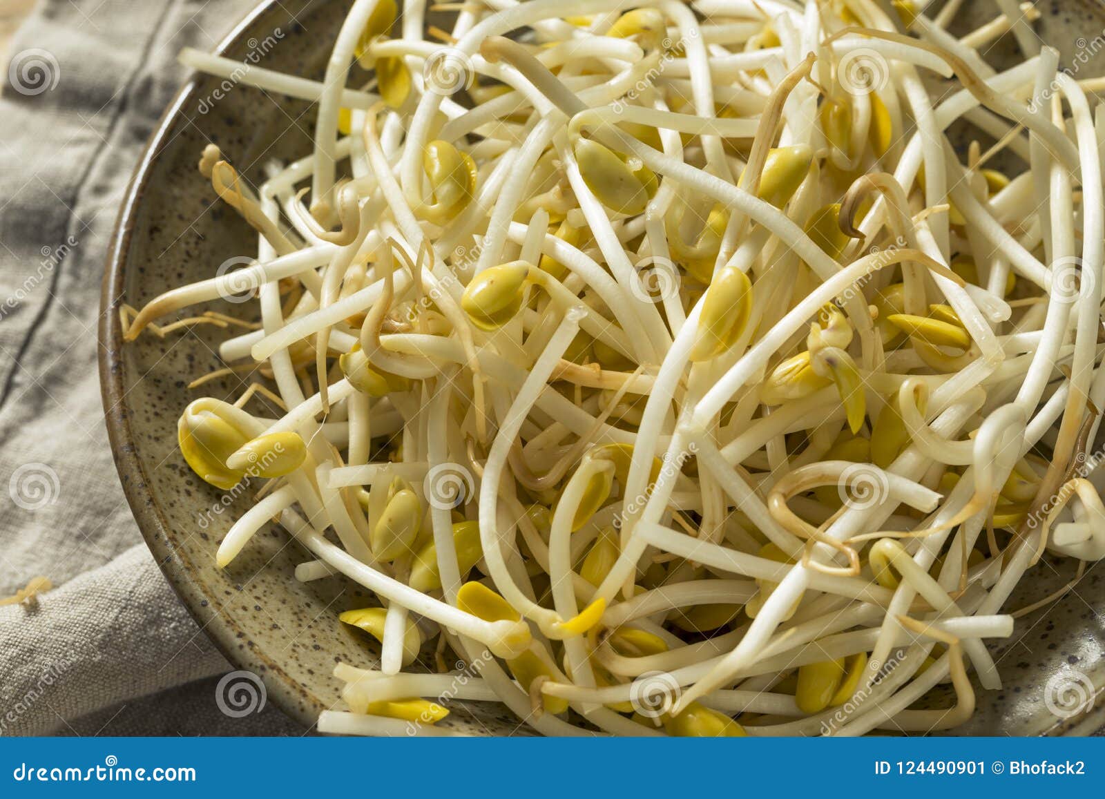 Raw Organic Soy Bean Sprouts Stock Image - Image of soja, pile: 124490901