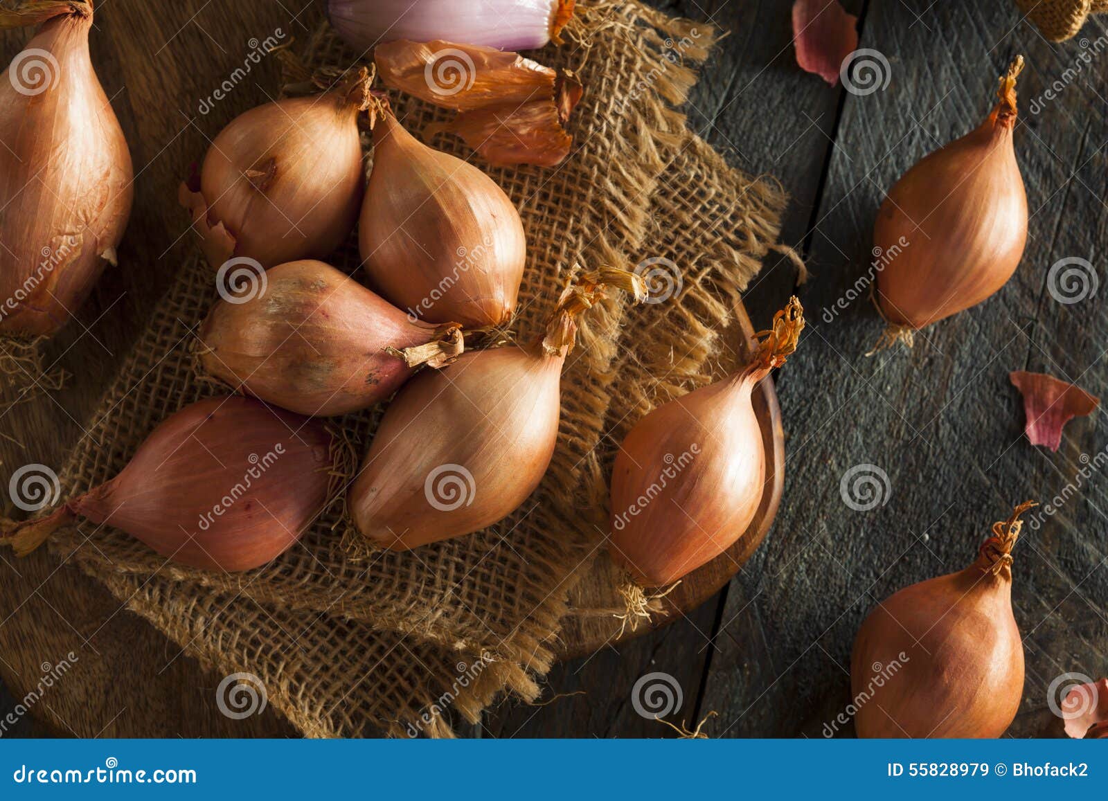 15,291 Shallots Stock Photos - Free & Royalty-Free Stock Photos from  Dreamstime