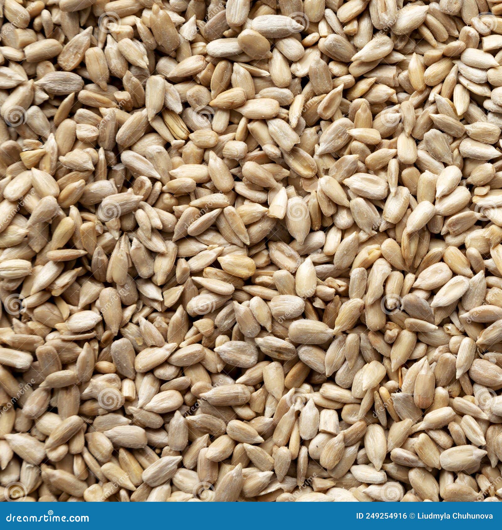 Raw Organic Sunflower Seed Kernels Stock Photo Image of natural, seeds 249254916