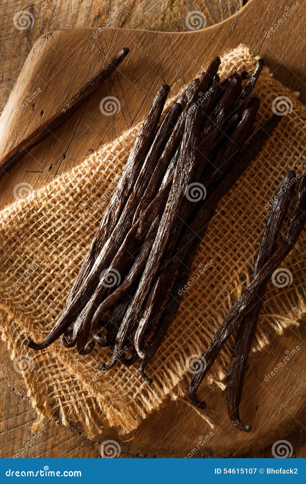 Raw Organic Vanilla Beans stock image. Image of dessert 54615107
