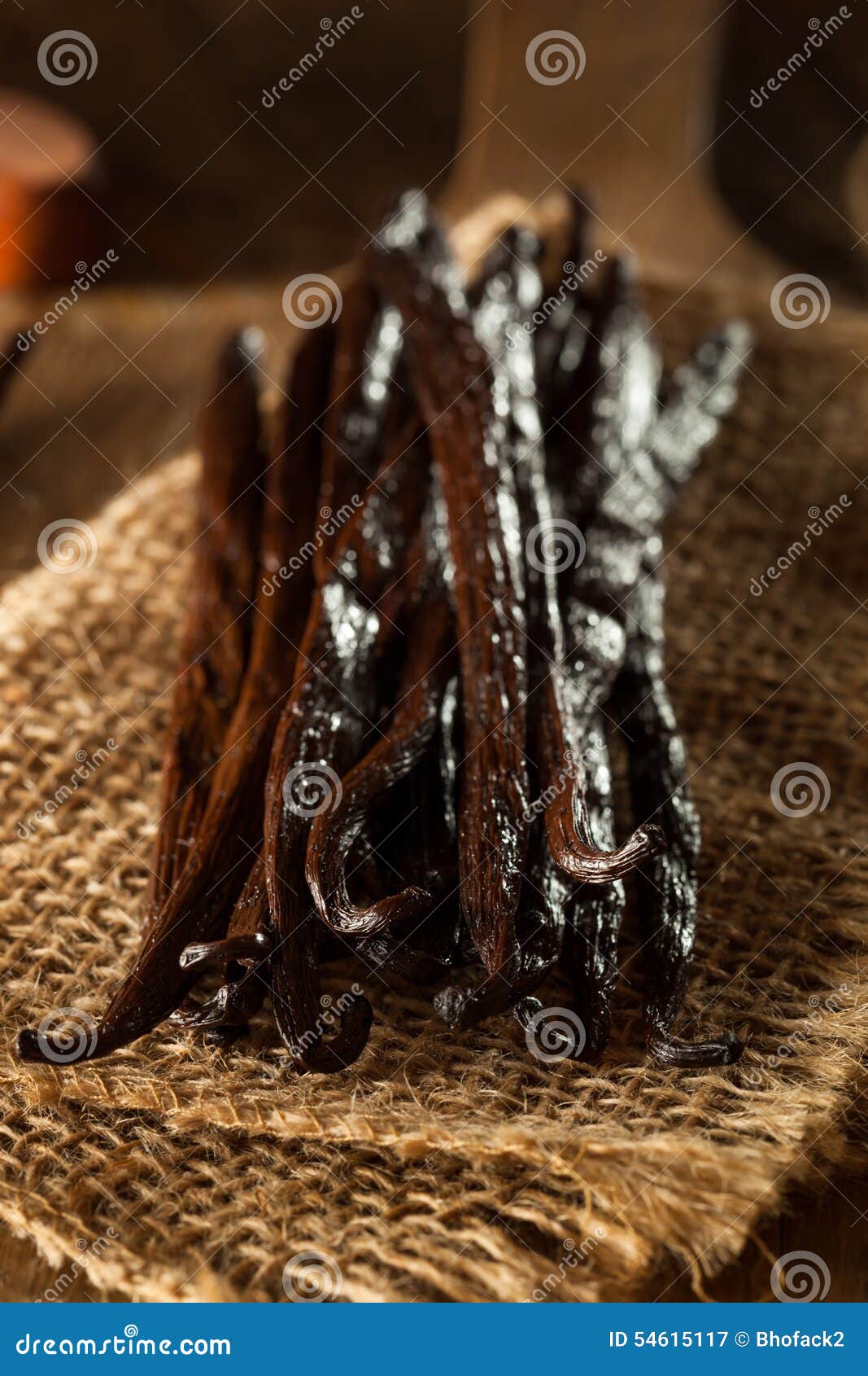 Raw Organic Vanilla Beans stock image. Image of plant 54615117