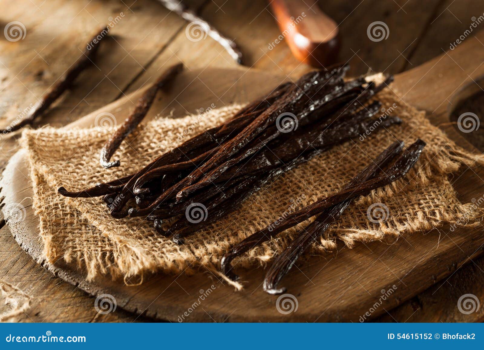 Raw Organic Vanilla Beans stock photo. Image of asian 54615152