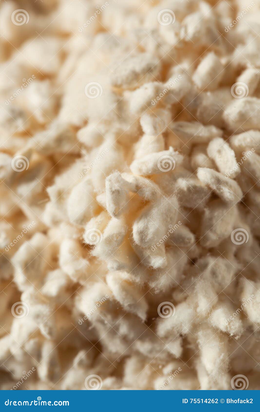 Raw Organic White Koji Rice Stock Photo Image of malt, healthy 75514262