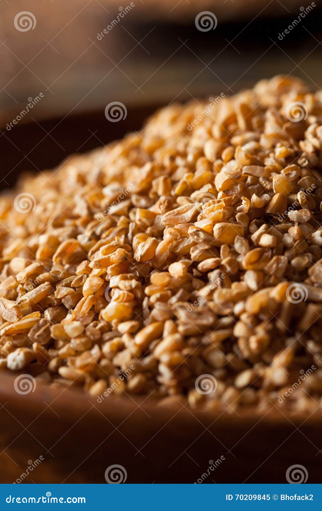 Raw Organic Whole Grain Cracked Wheat Stock Image Image of fiber