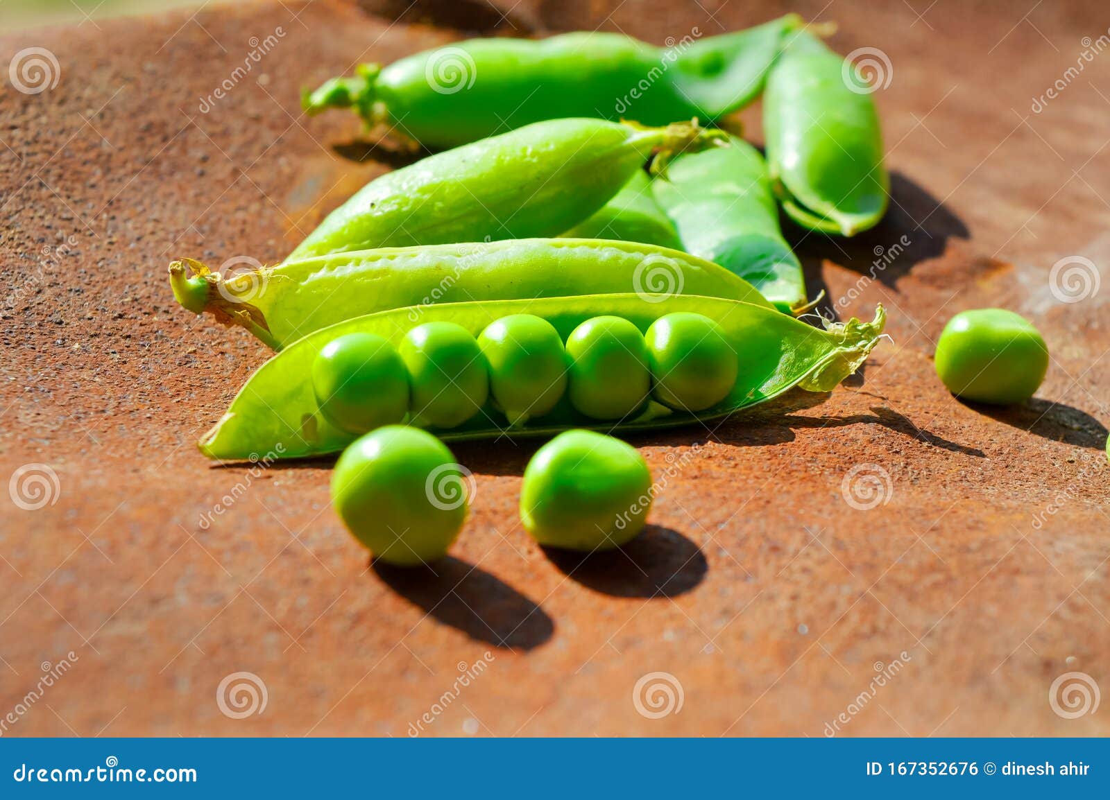 Raw Peas Group,fresh Peas on Wood Background,green Peas Beans Stock Photo Image of organic