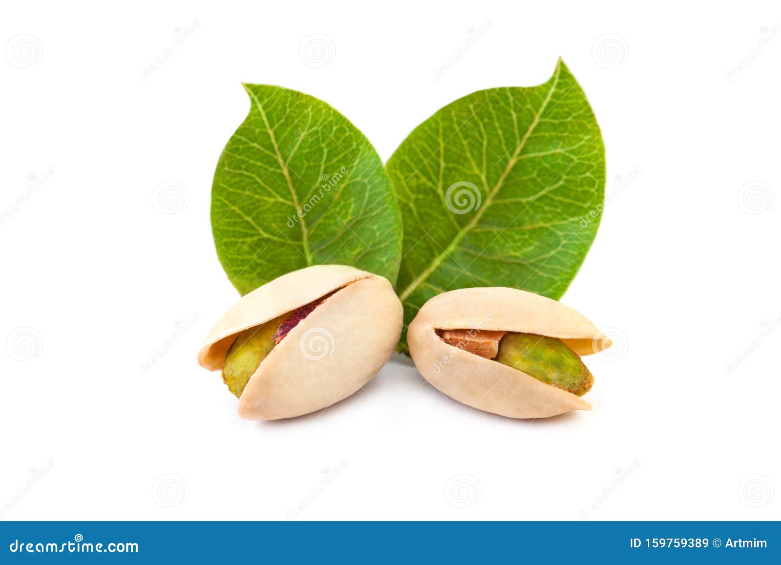 Raw Pistachio Nut Isolated on White Background Stock Image Image of