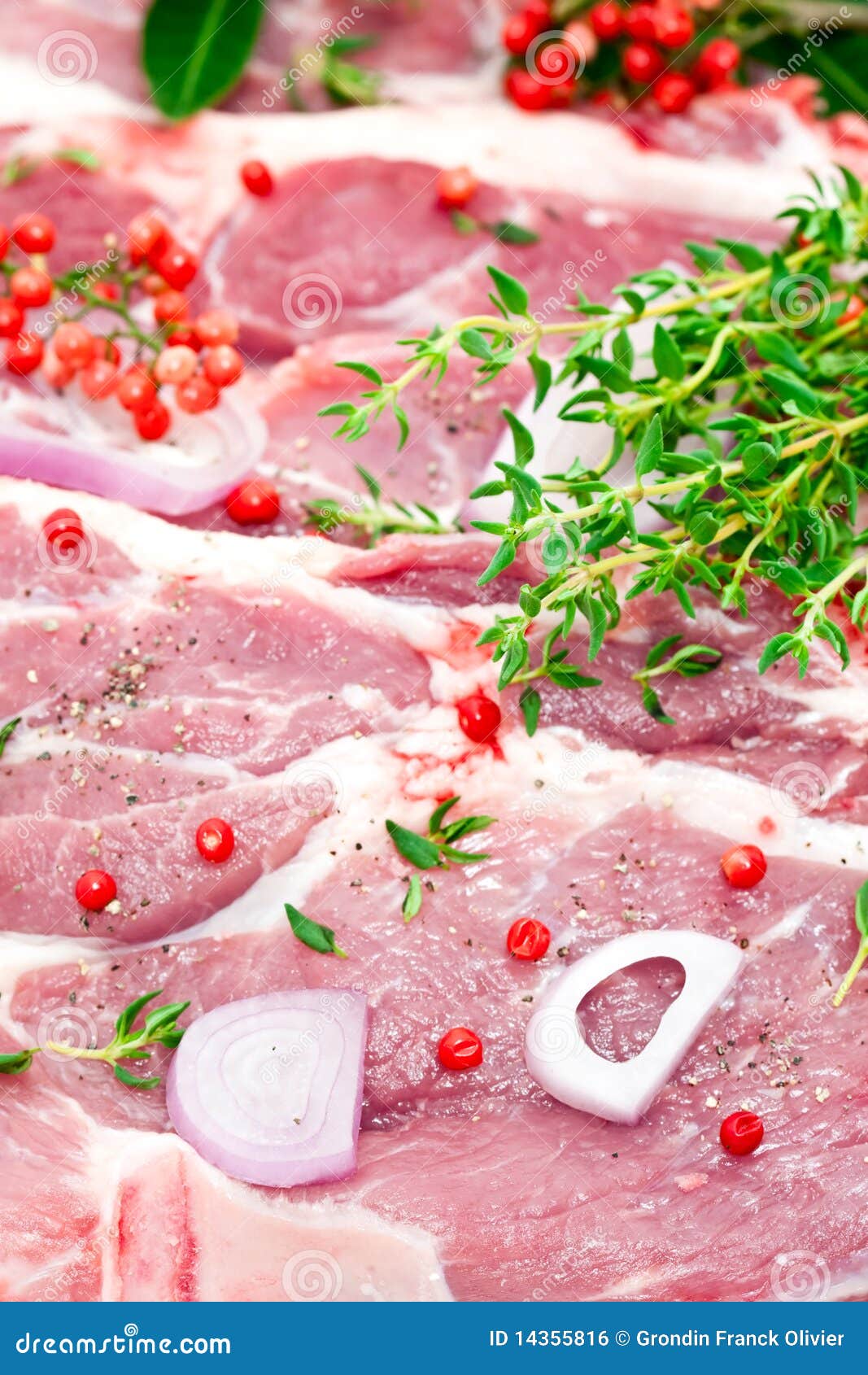 Raw Pork Meat and Seasoning Stock Photo Image of cuts, herbs 14355816