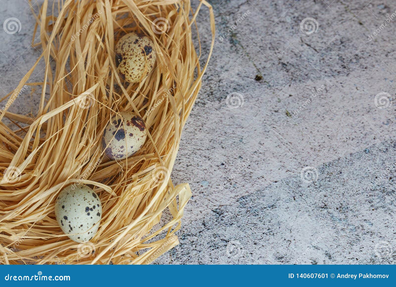 Raw Quail Eggs in Hay. Country Style. Group of Fresh Quail Eggs on