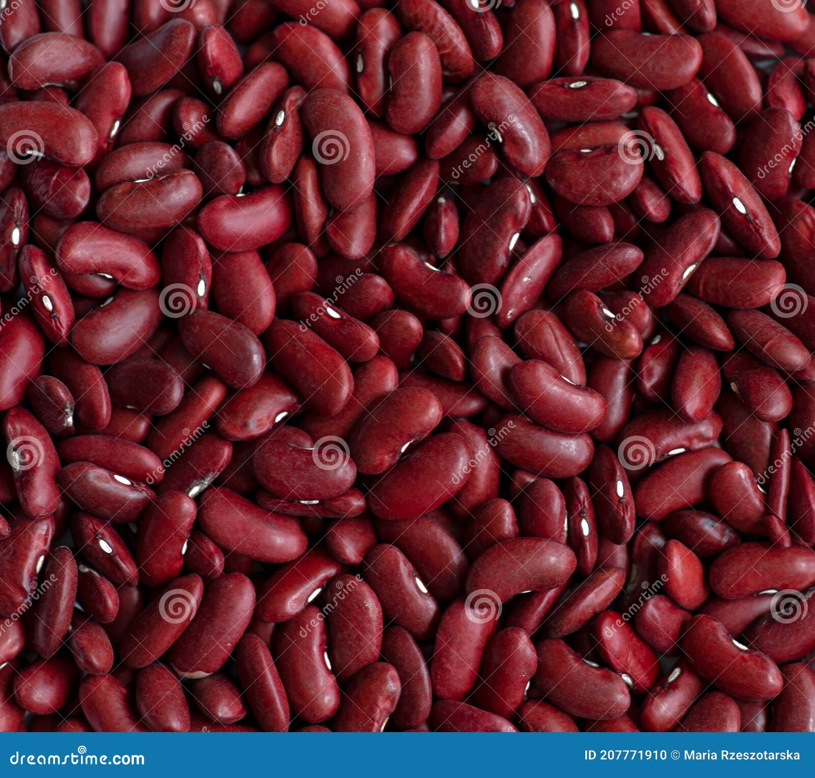 Raw red beans. stock photo. Image of bean, legumes, brown 207771910