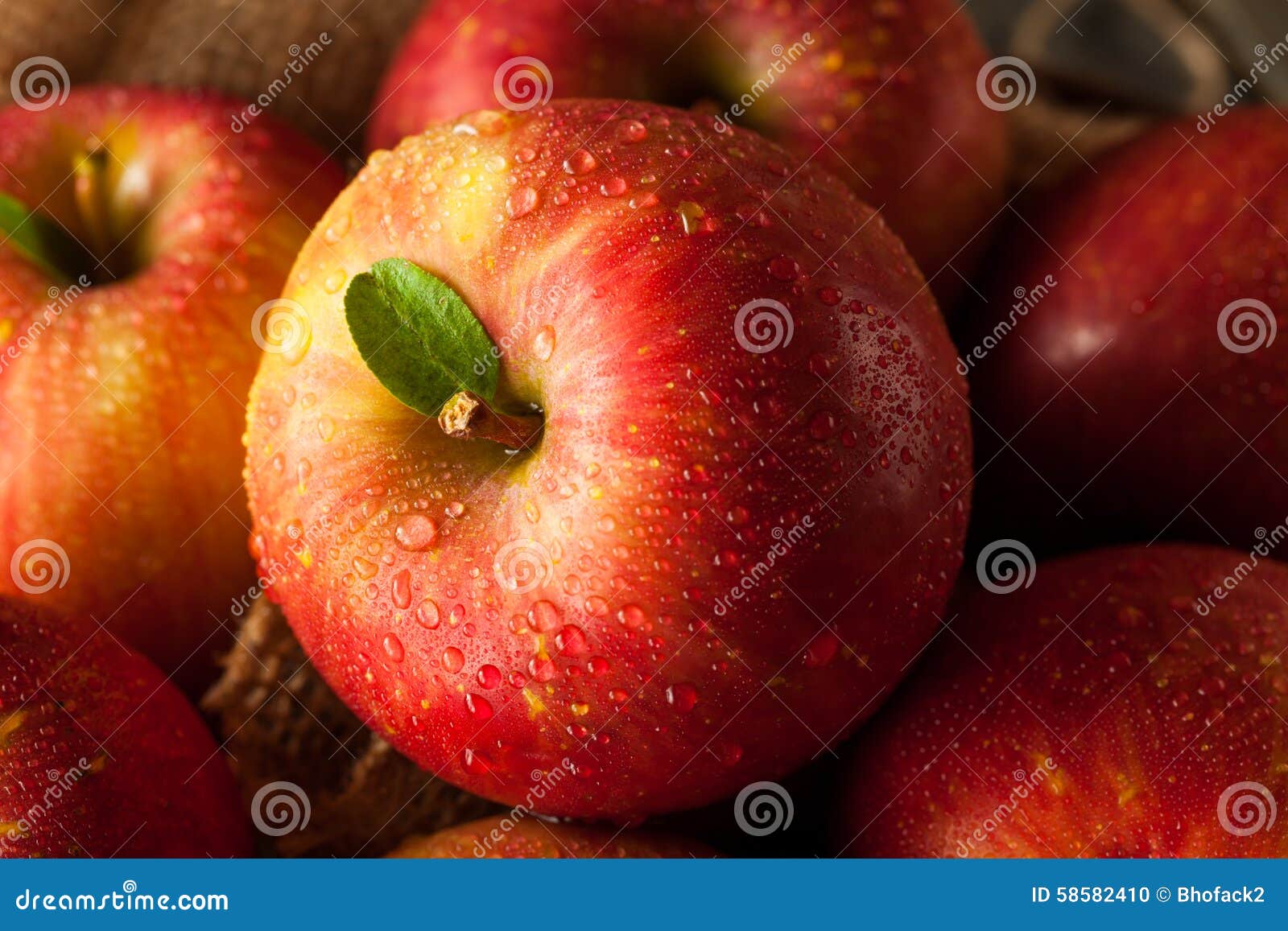 Raw Red Organic Gala Apples Stock Photo by bhofack2