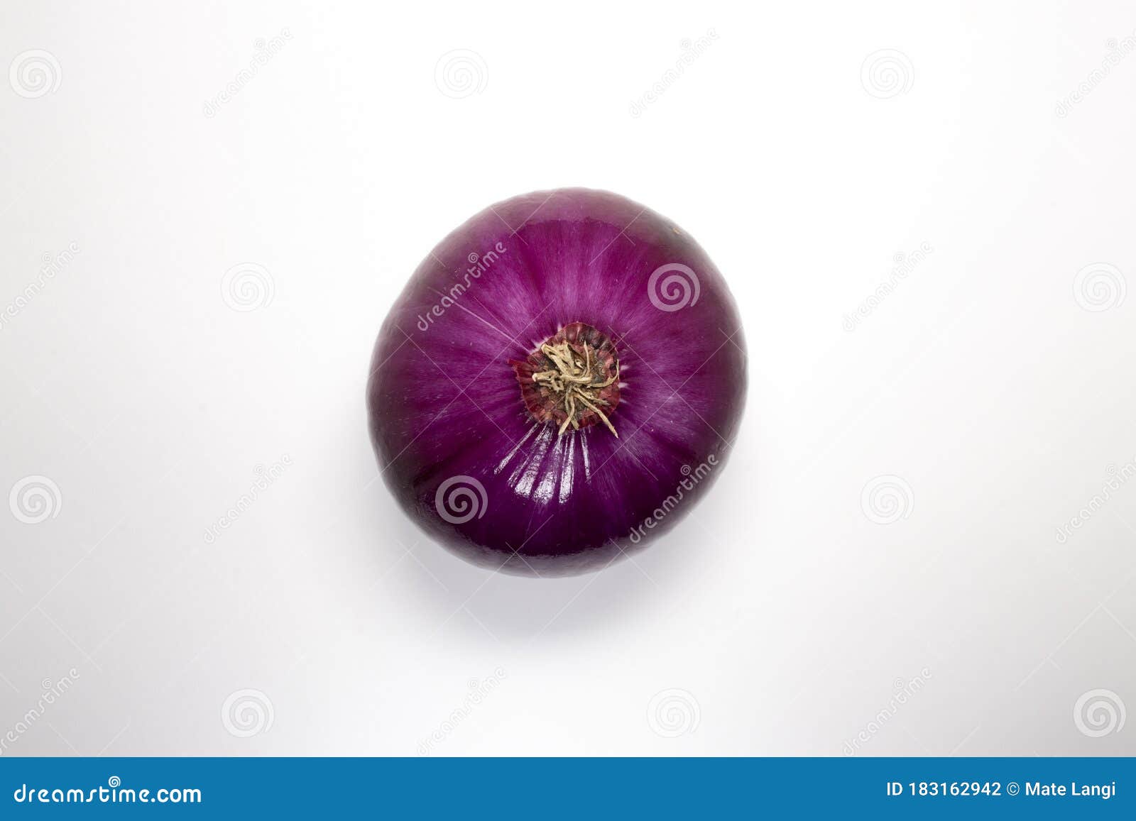 A Raw, Red Onion Isolated, Bottom Closeup Stock Photo Image of