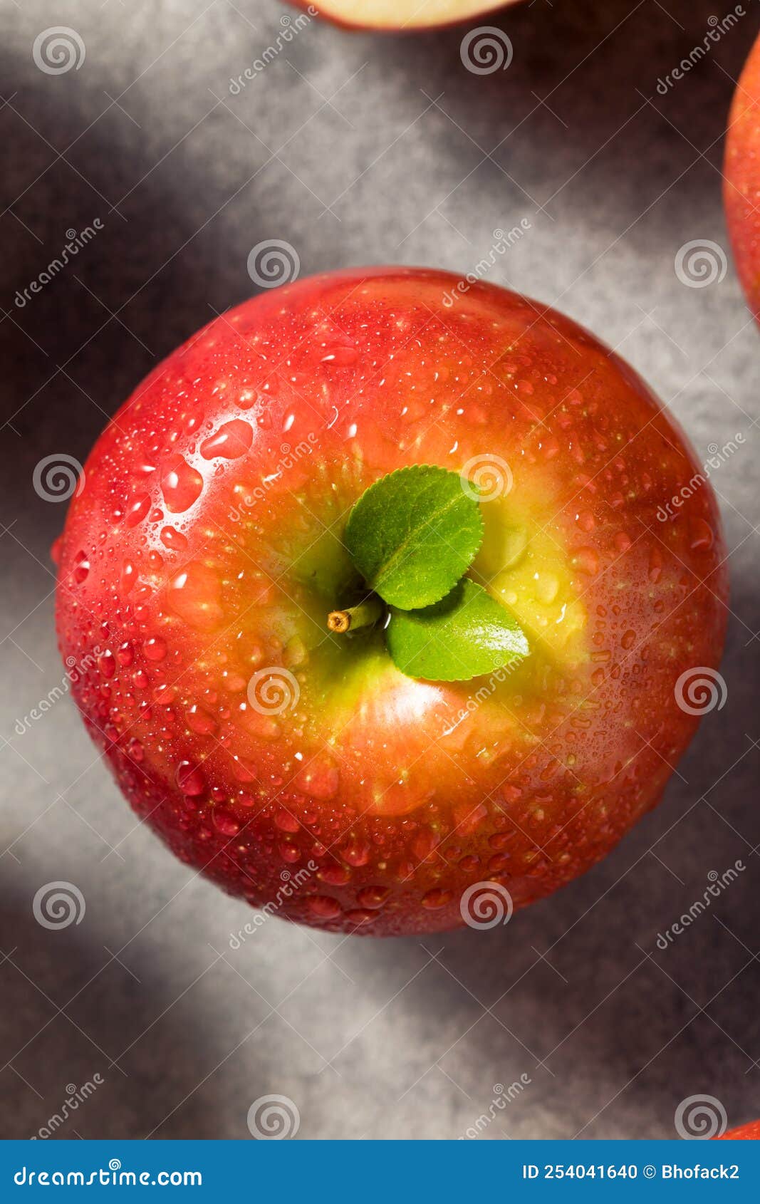 Raw Red Organic Cosmic Crisp Apples Stock Photo Image of healthy