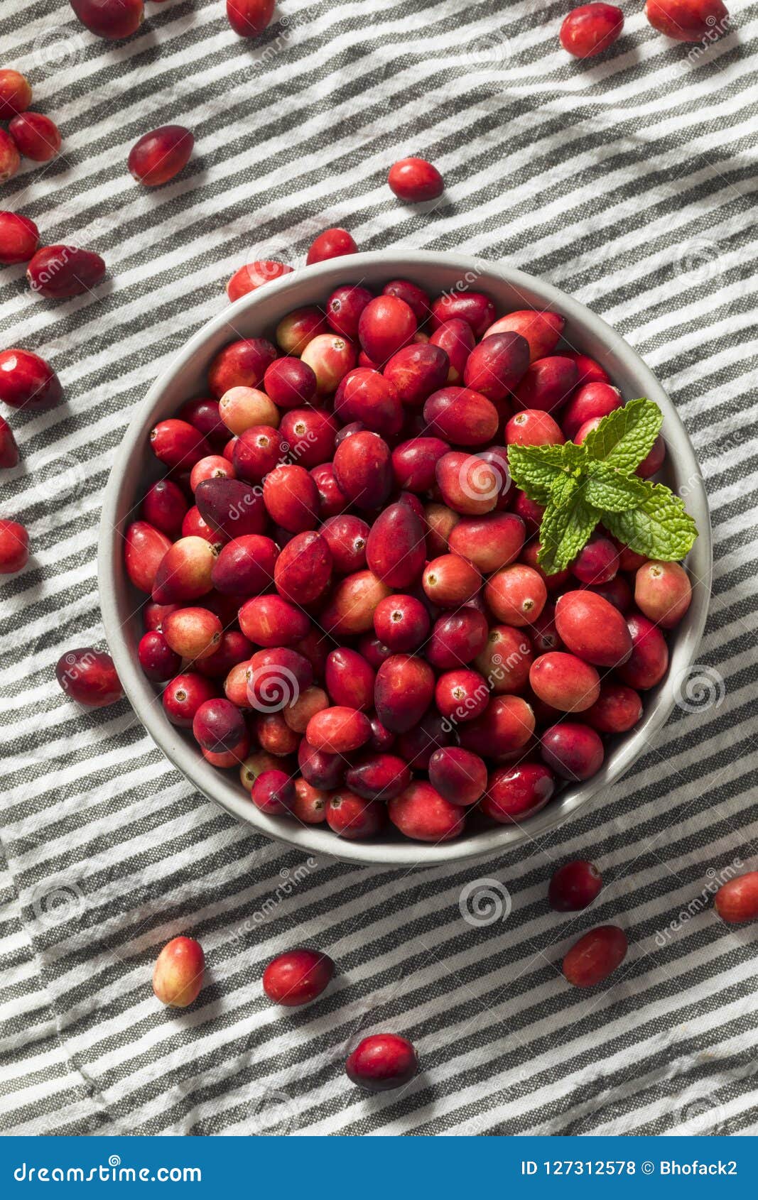 Raw Red Organic Cranberries Stock Photo Image of dessert, leaf 127312578