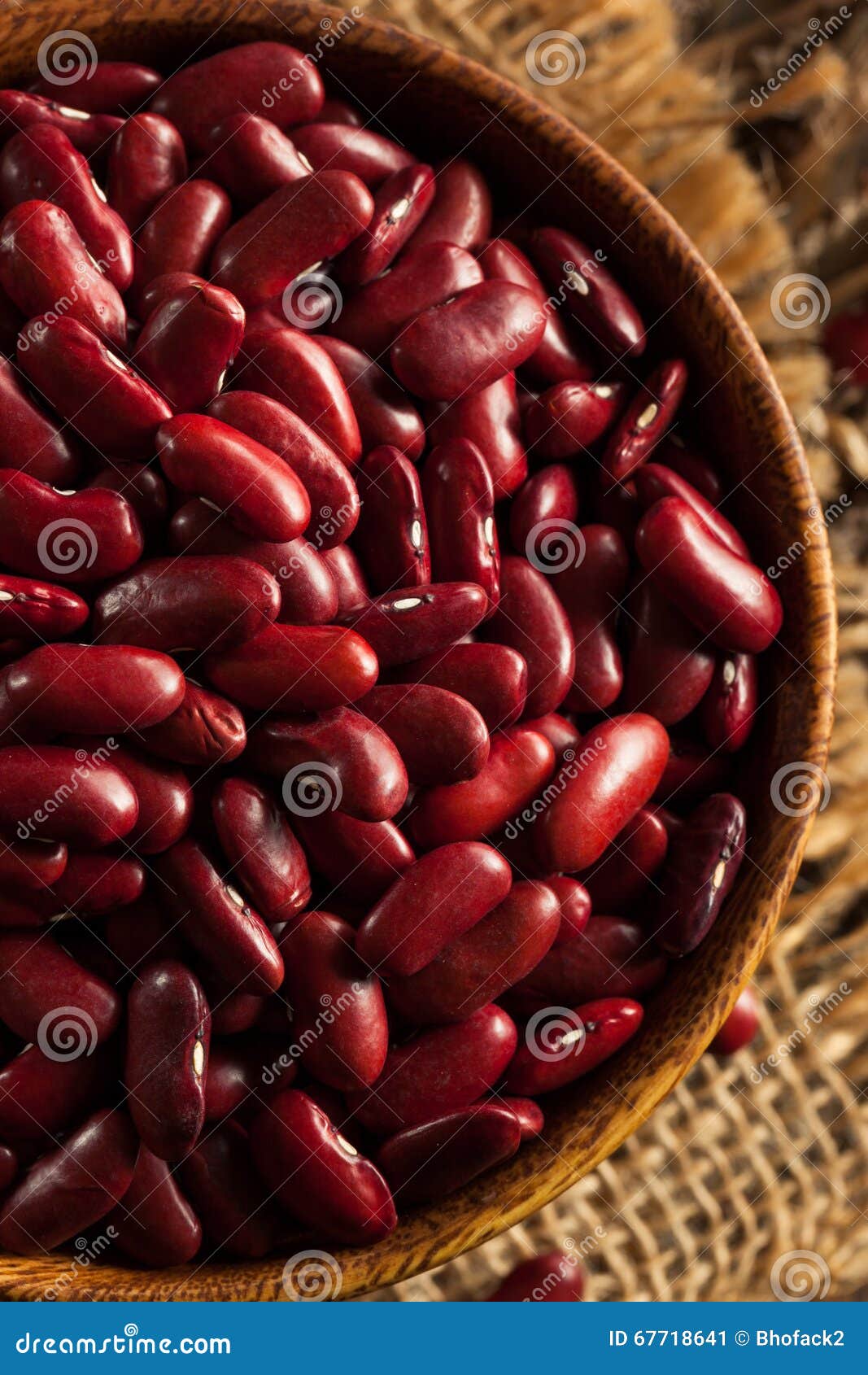 Raw Red Organic Kidney Beans Stock Image Image of vegan, seed 67718641