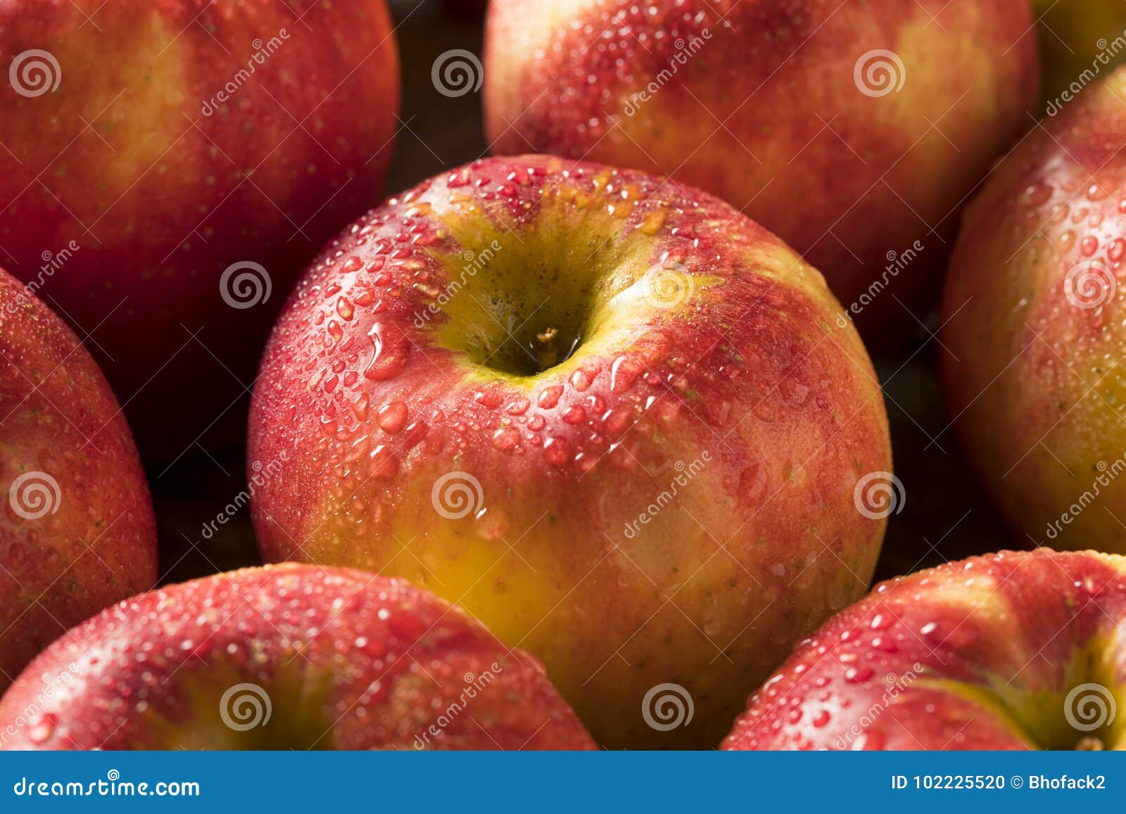 Raw Red Organic Envy Apples Stock Photo by bhofack2