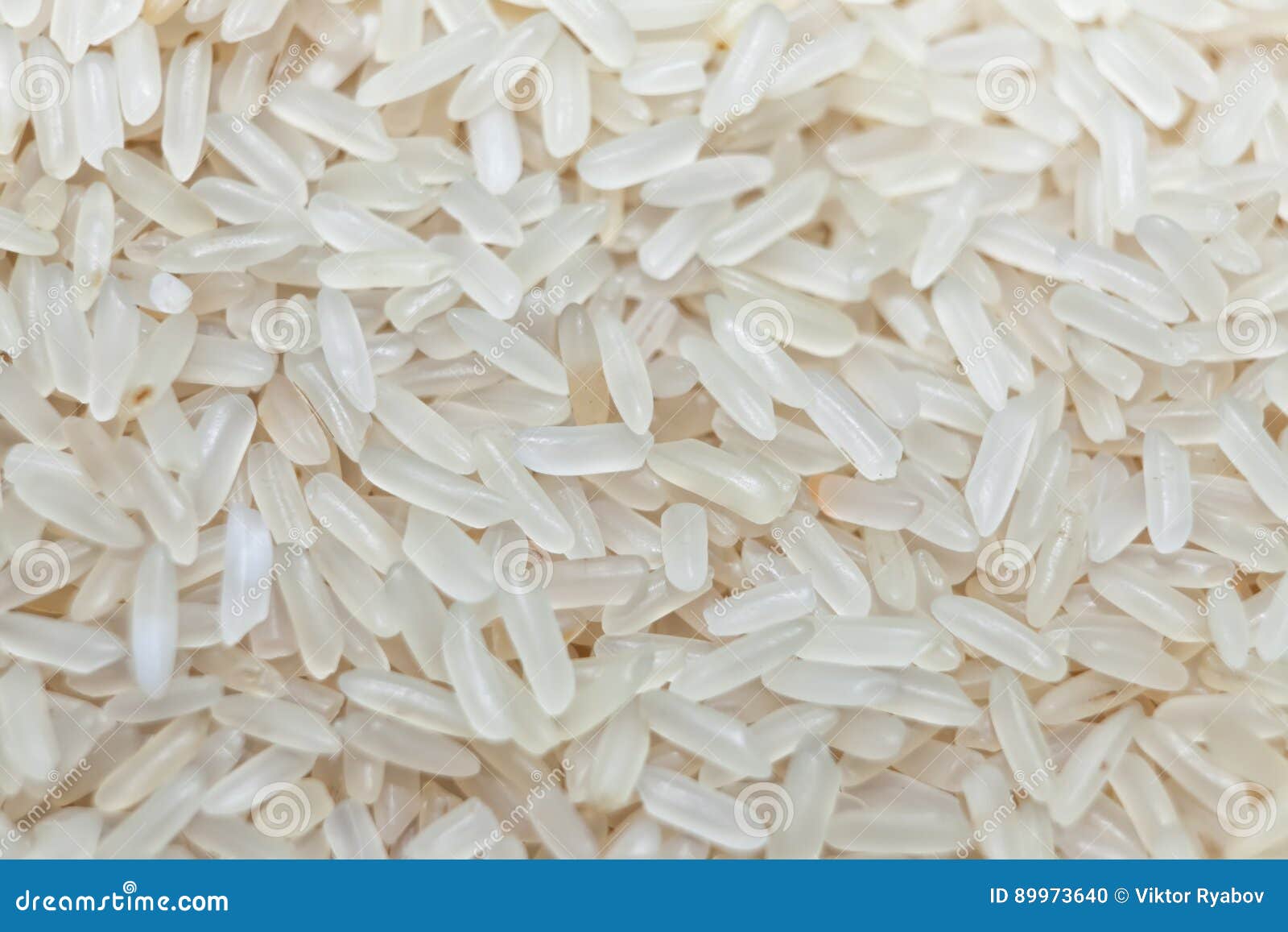 Raw Rice Closeup, Risotto Food Texture Macro Stock Photo Image of