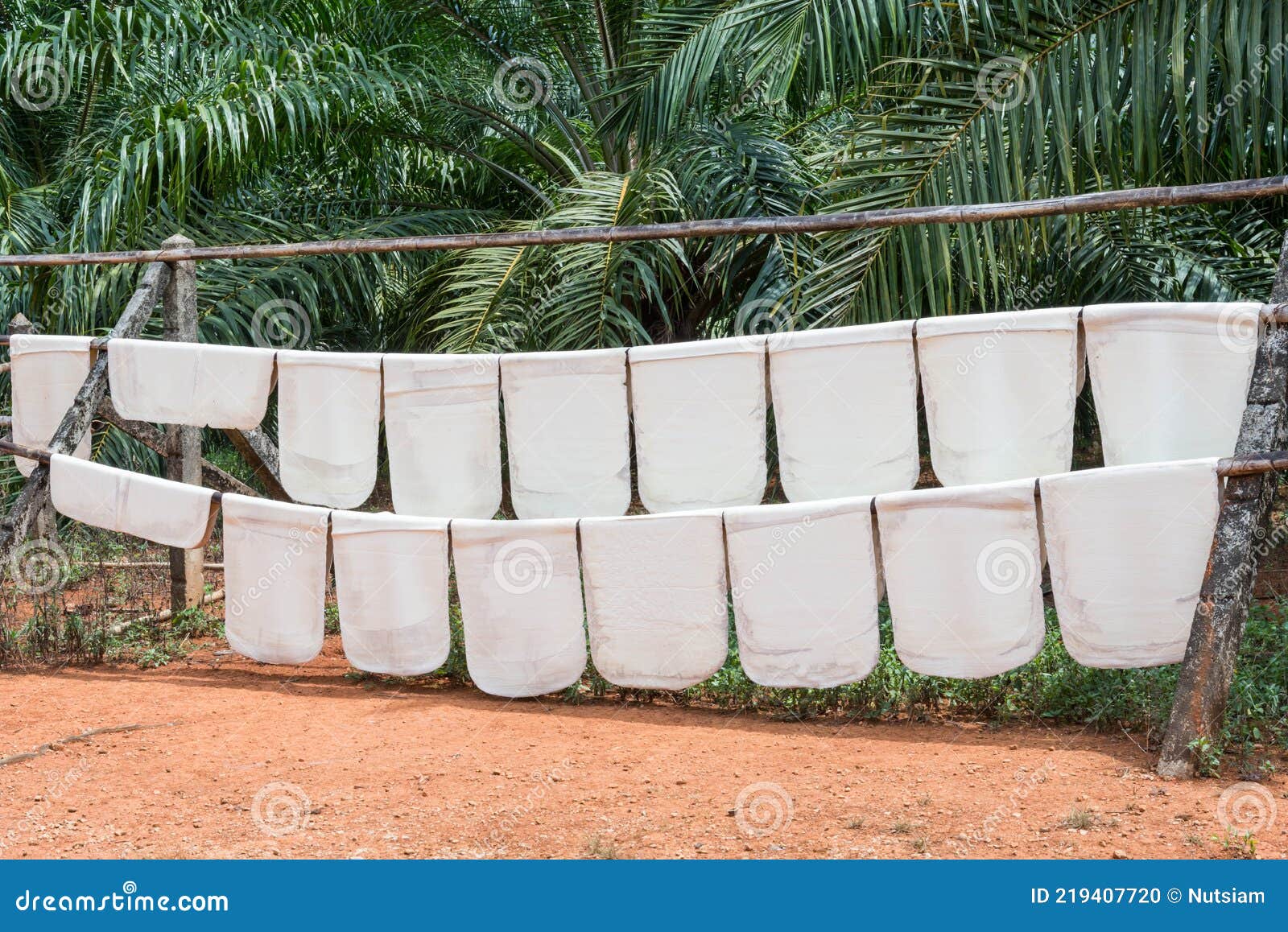 Raw Rubber Sheet in Southern Thailand Stock Photo Image of industrial