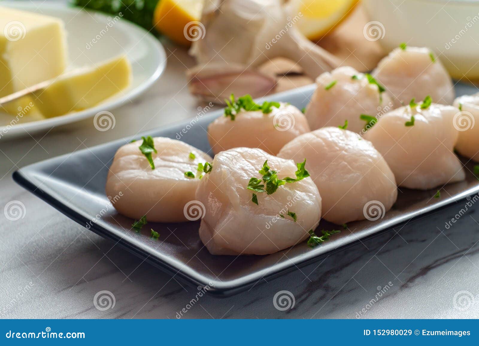 Raw Scallops Ingredients Cooking Stock Image Image of elegant