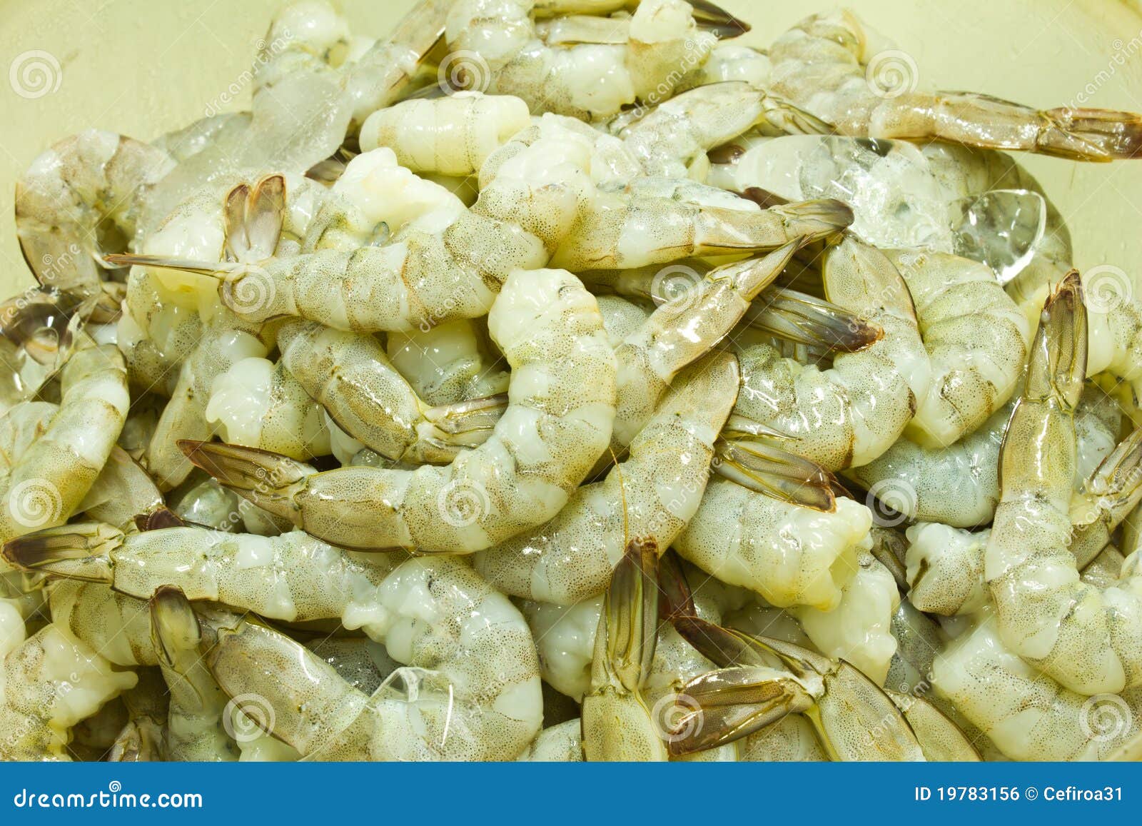 Raw shrimp stock photo. Image of tasty, nutrition, peeled 19783156
