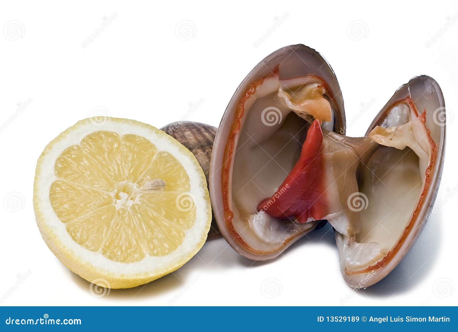 Raw Smooth Clams with Lemon. Stock Image Image of isolated, fish