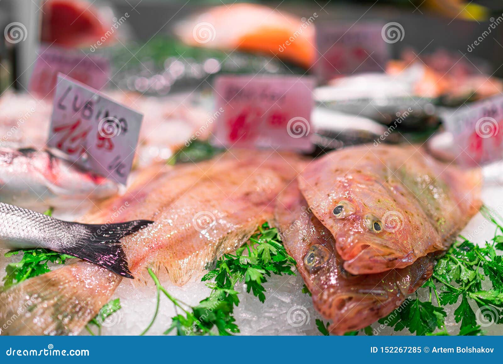 Sole Fish Stock Images Download 2,439 Royalty Free Photos