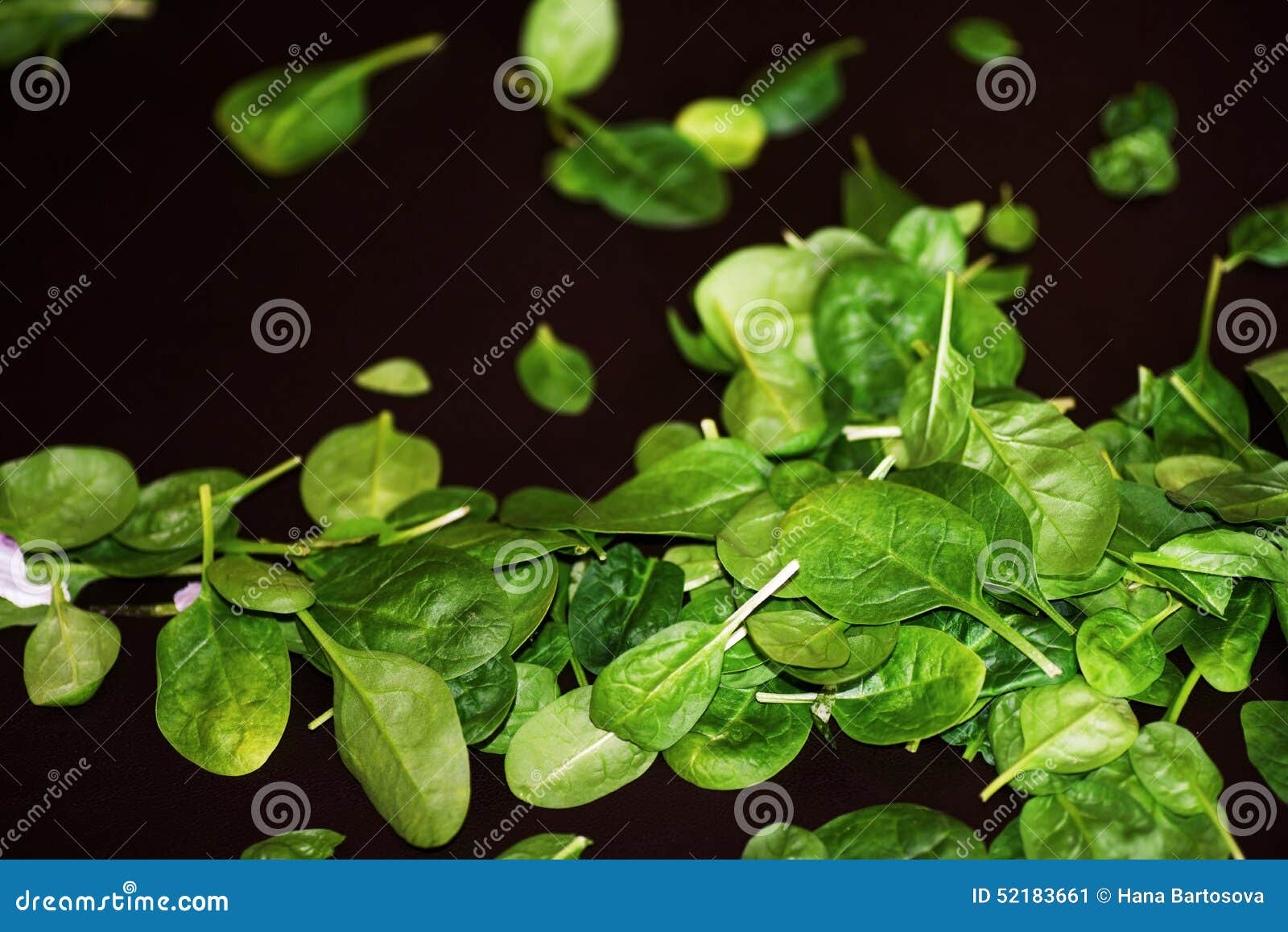 Raw spinach leaves stock image. Image of food, cooking - 52183661
