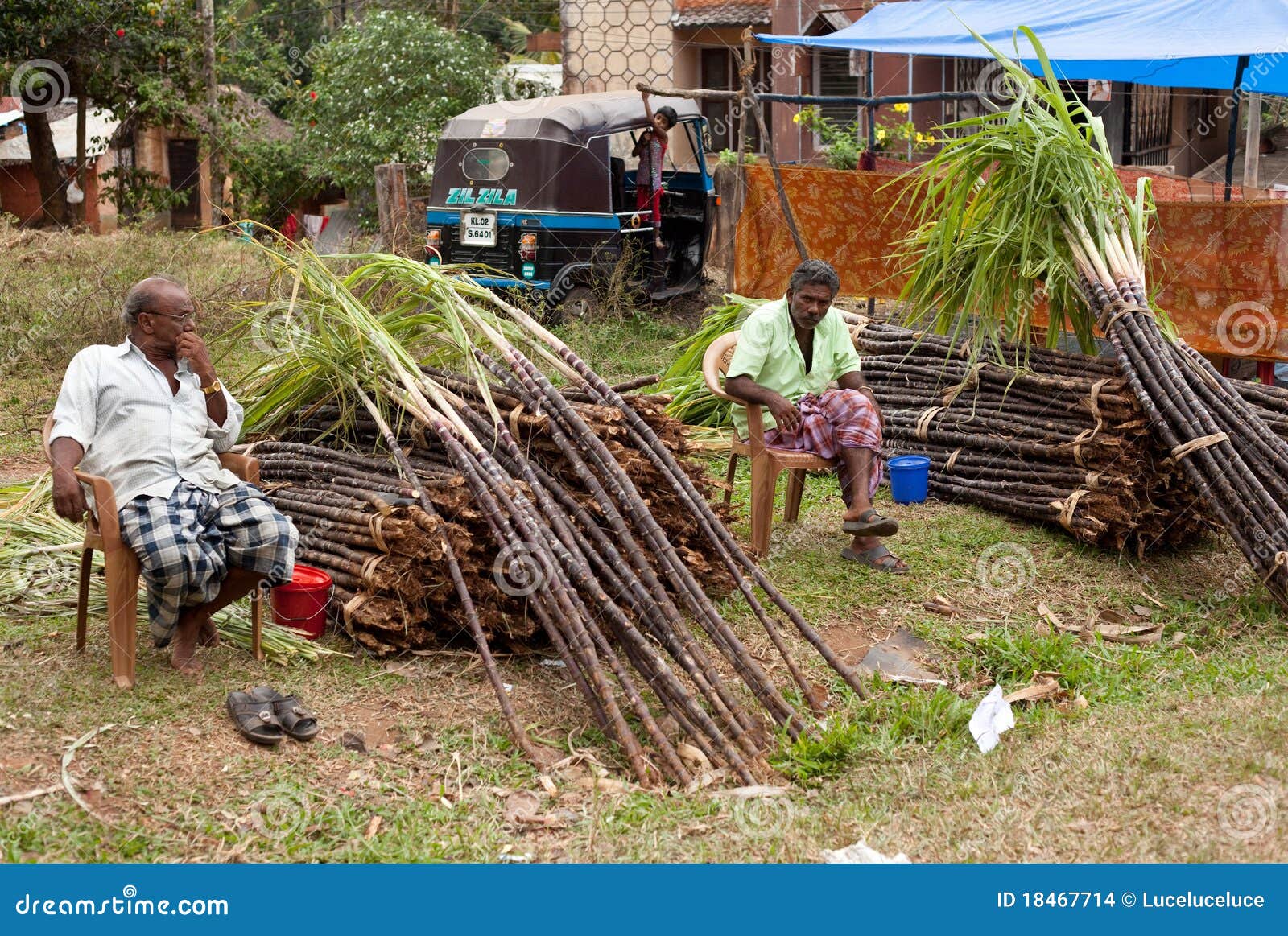 Raw Sugarcane is Offered for Sale Editorial Stock Image Image of