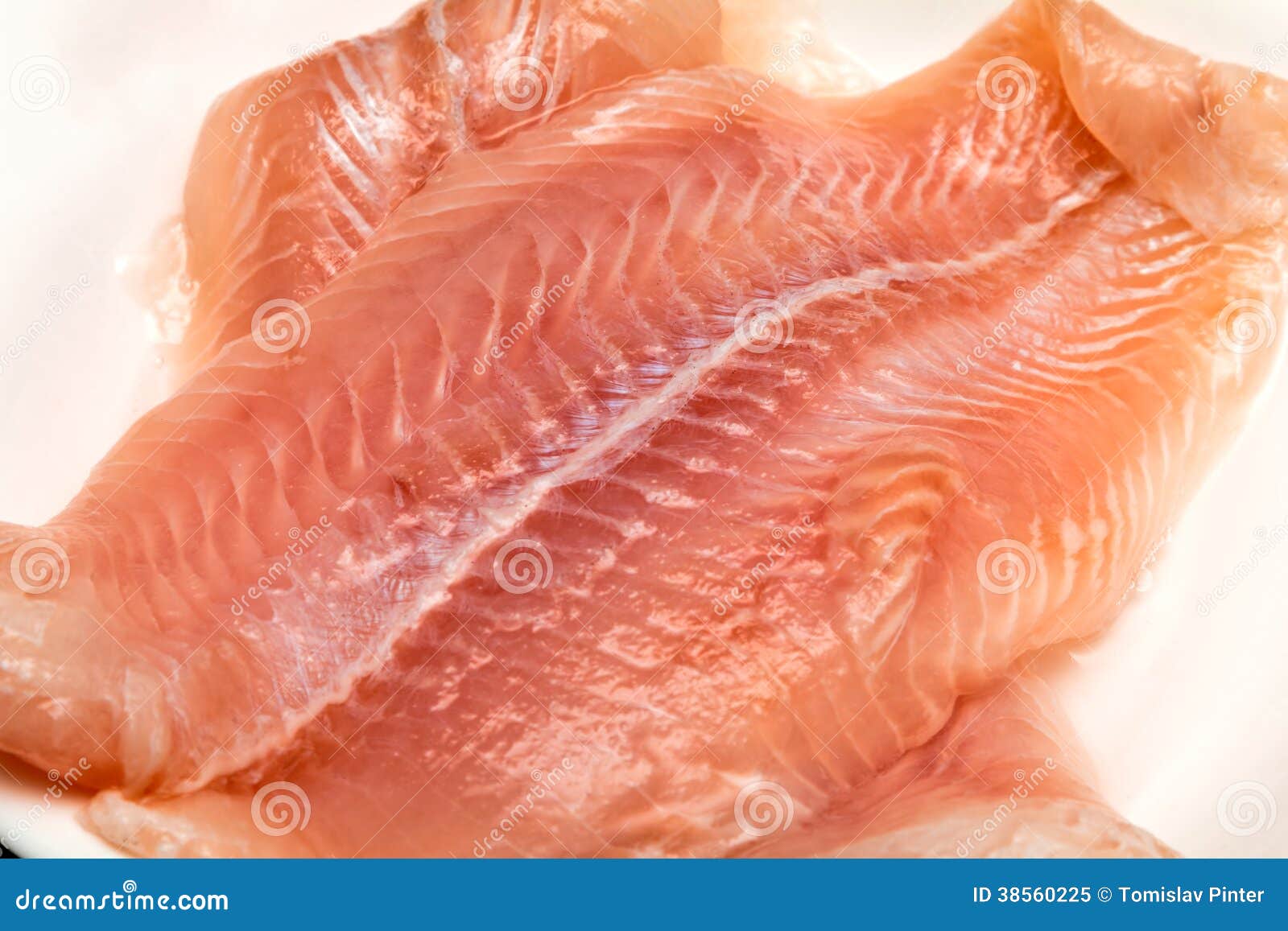 Raw trout meat stock image. Image of orange, preparation 38560225