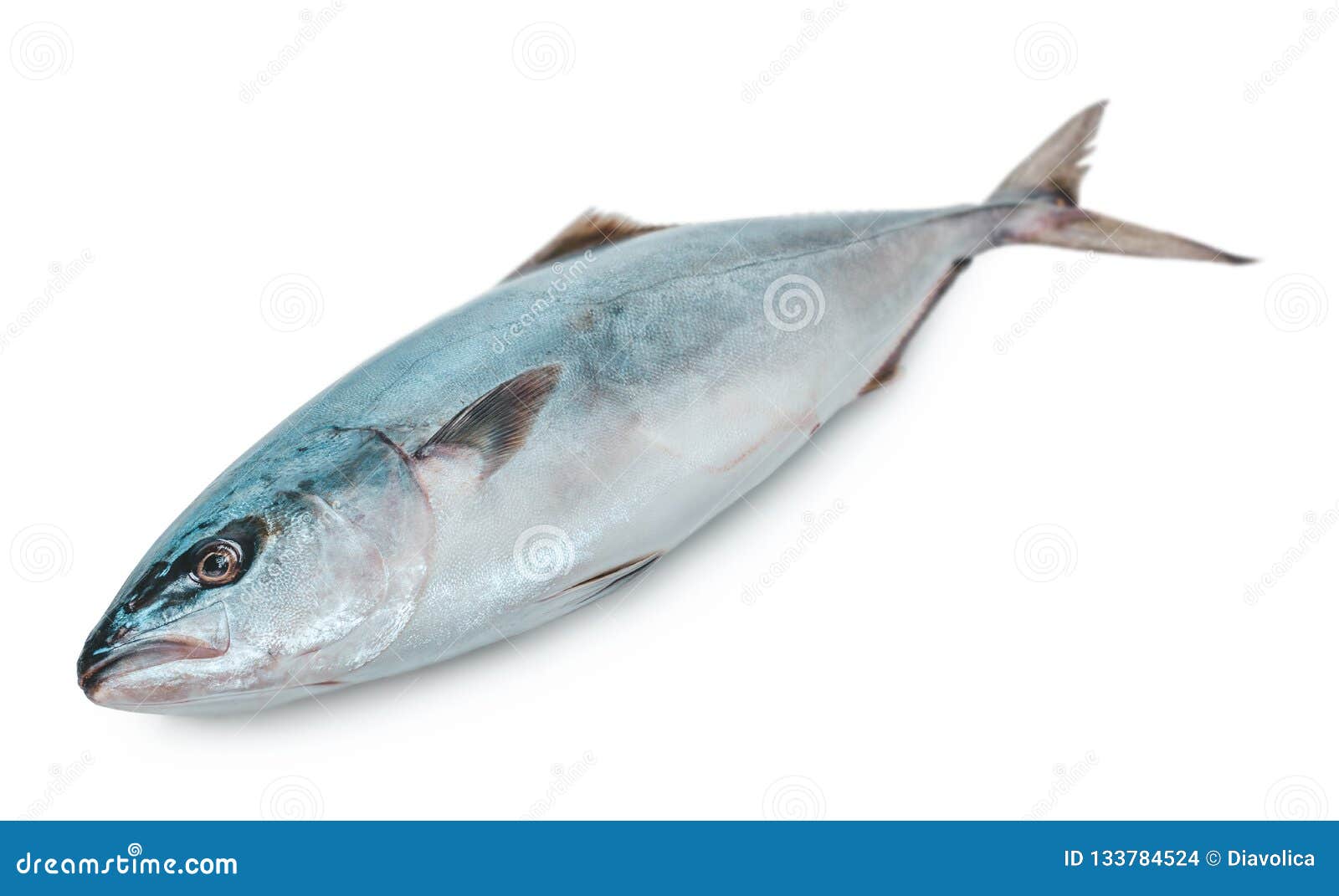 Raw tuna fish stock photo. Image of food, healthy, catch 133784524