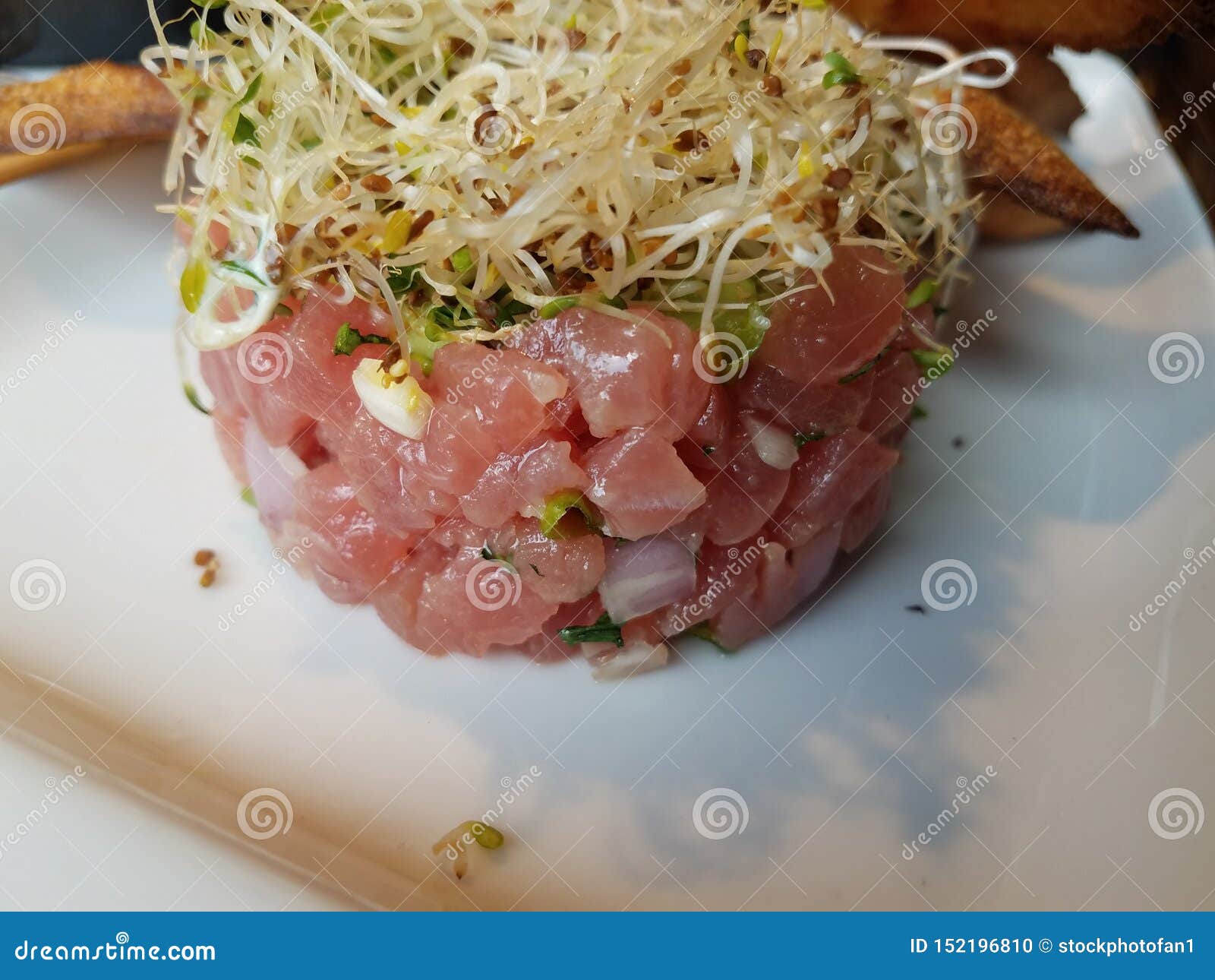 Raw Tuna Tartare on White Plate with Sprouts Stock Photo Image of
