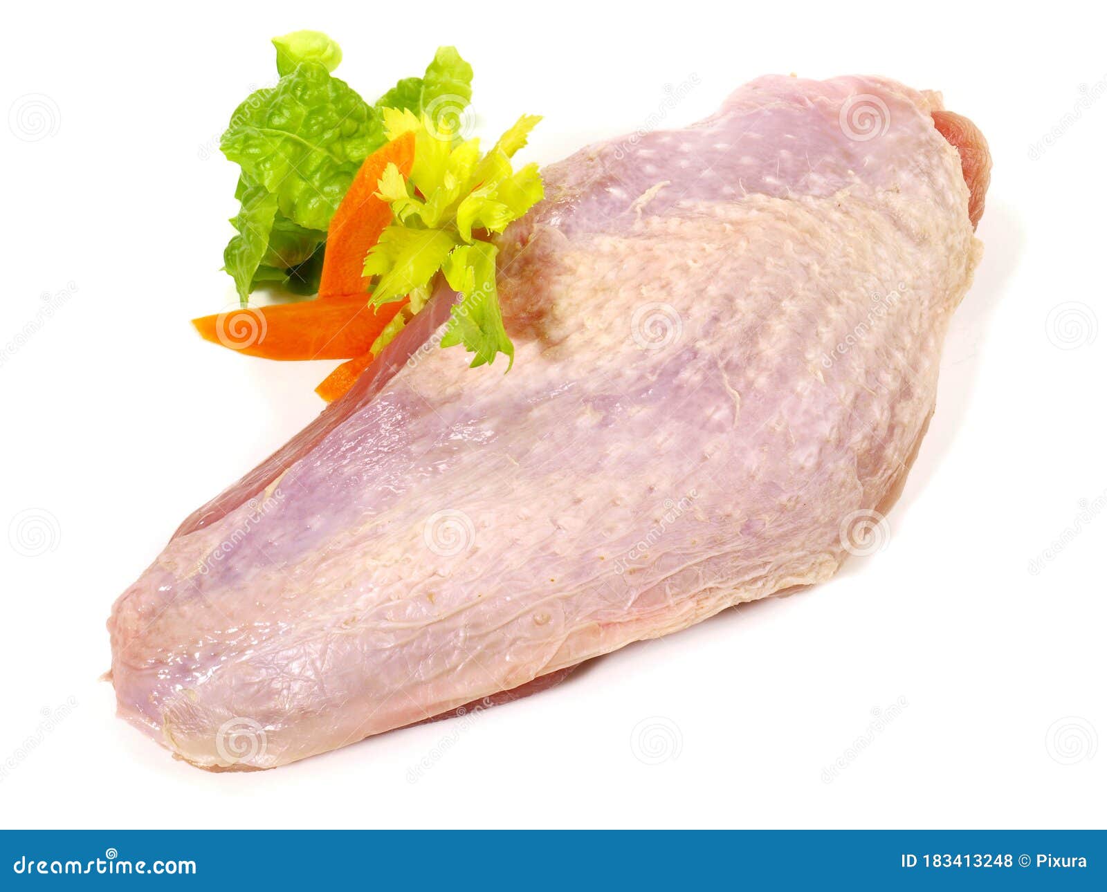 Fine Meat Raw Turkey Breast on White Background Stock Photo Image