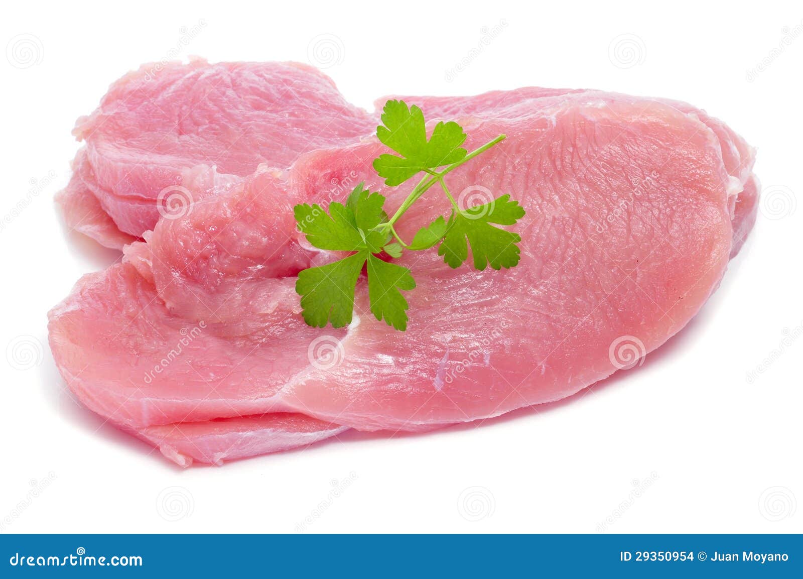 Raw turkey meat stock photo. Image of nonfat, healthy 29350954