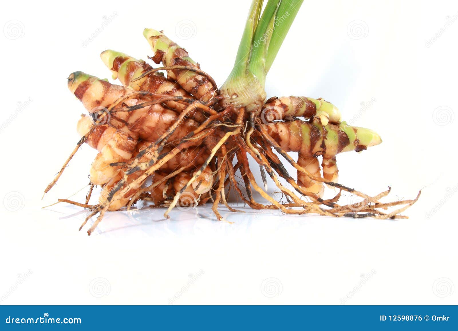 raw-turmeric-plant-roots-12598876.jpg