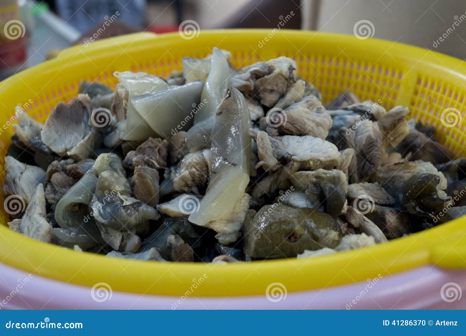 Turtle Meat turtle-meat