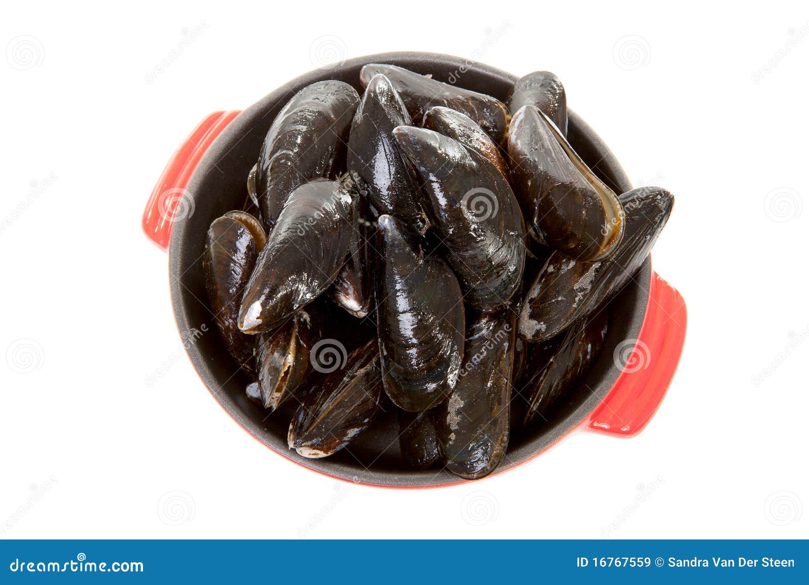 Raw uncooked mussels stock image. Image of seafood, food 16767559